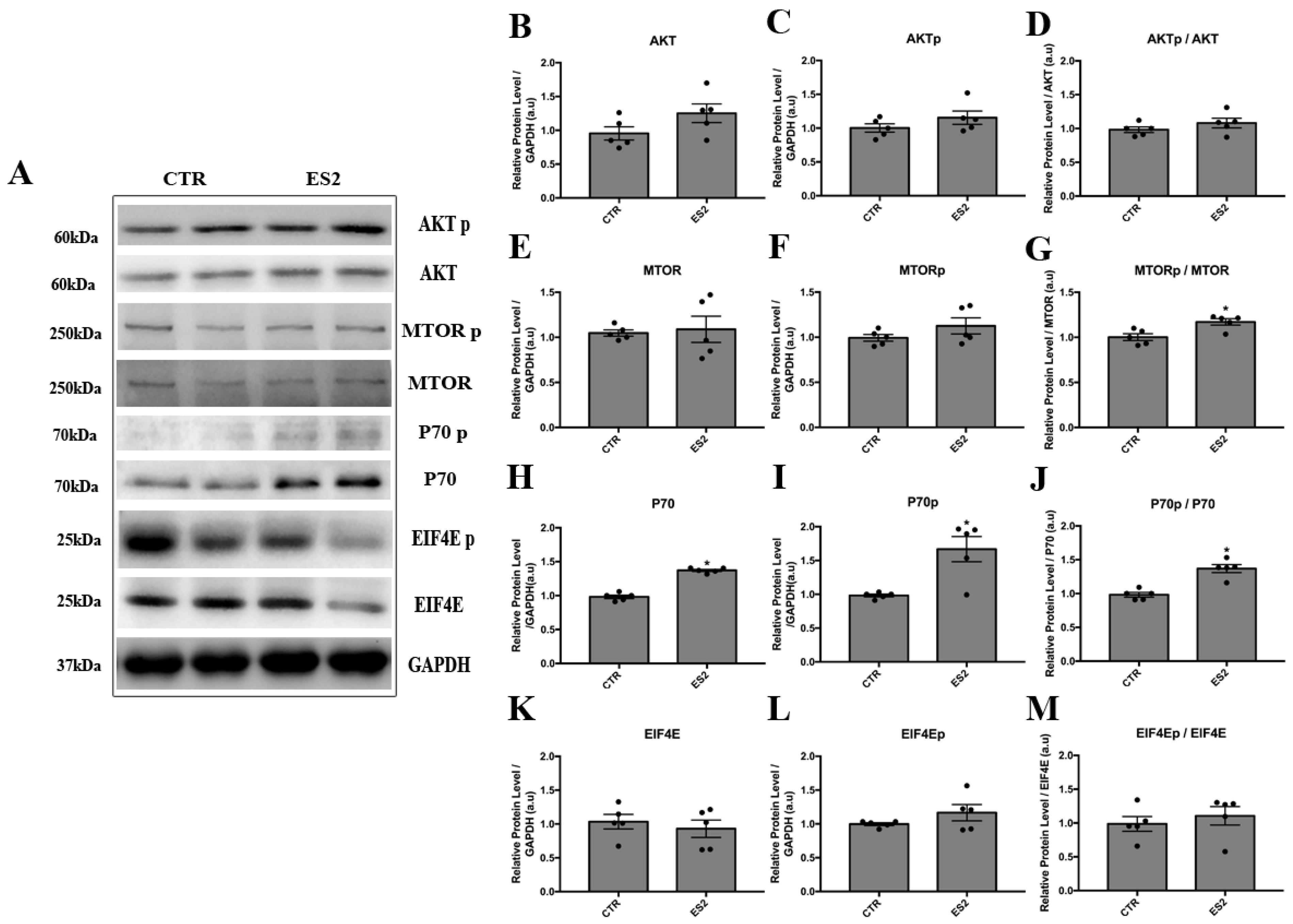 Applsci 12 07673 g006 550
