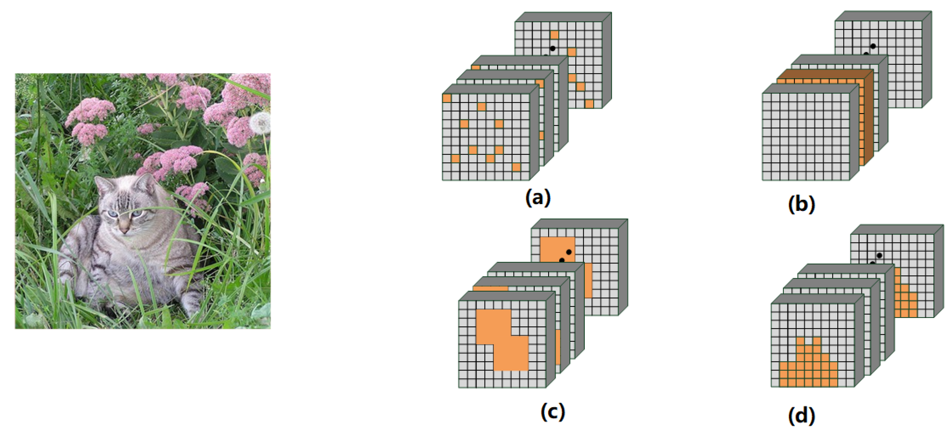 Applsci 12 07682 g001 550