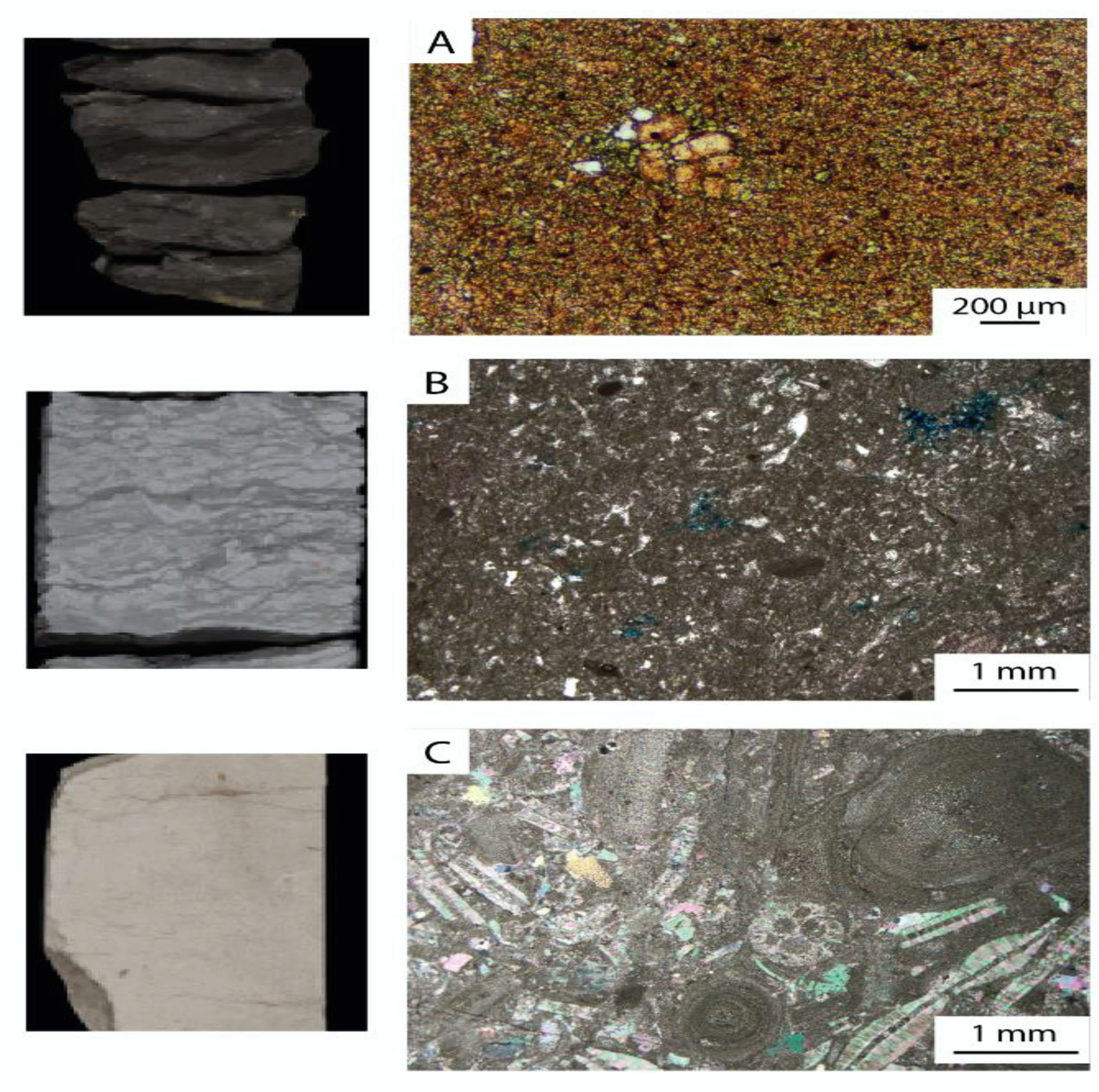 Applsci 12 07688 g006a