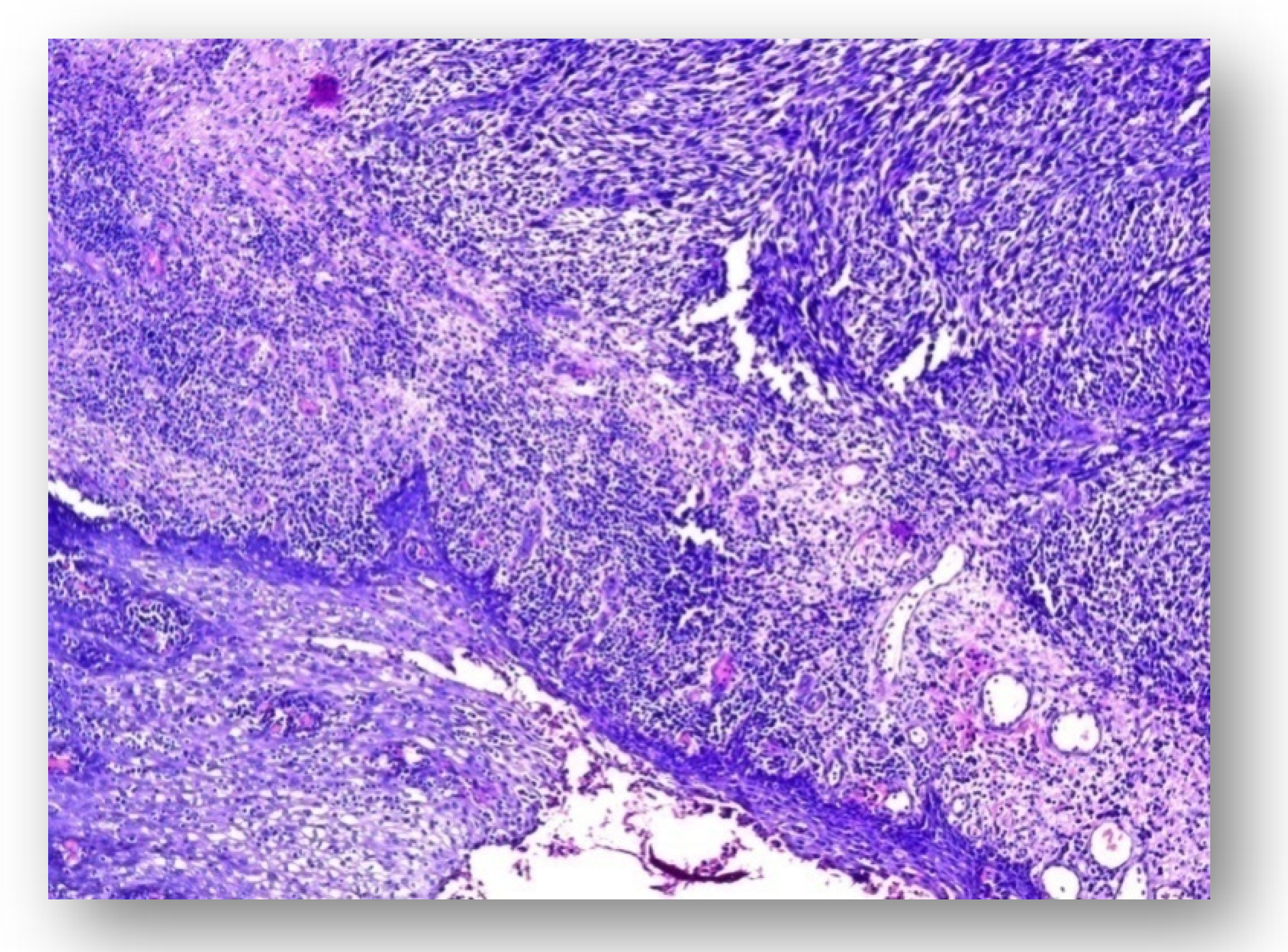 Applsci 12 07734 g001