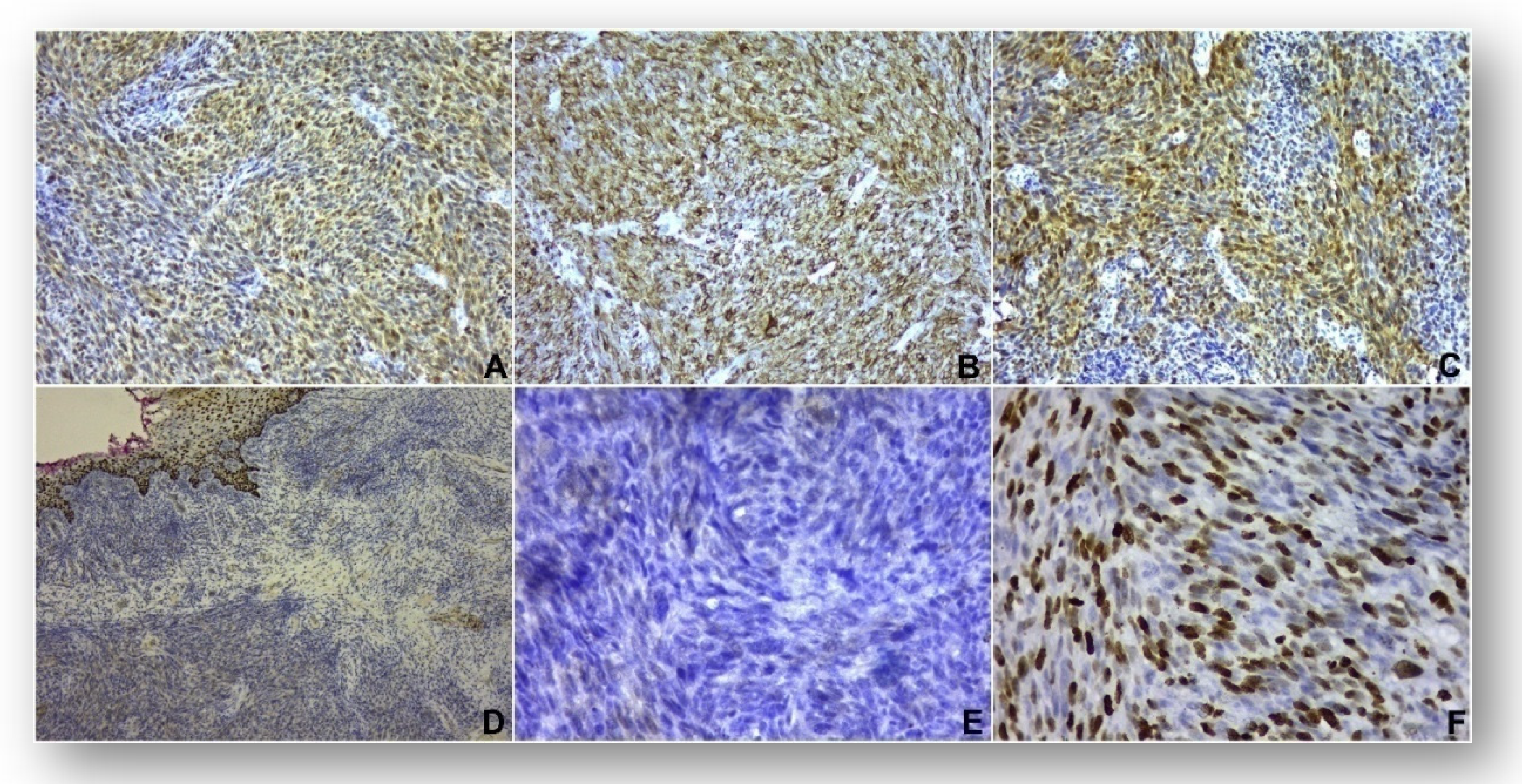 Applsci 12 07734 g002