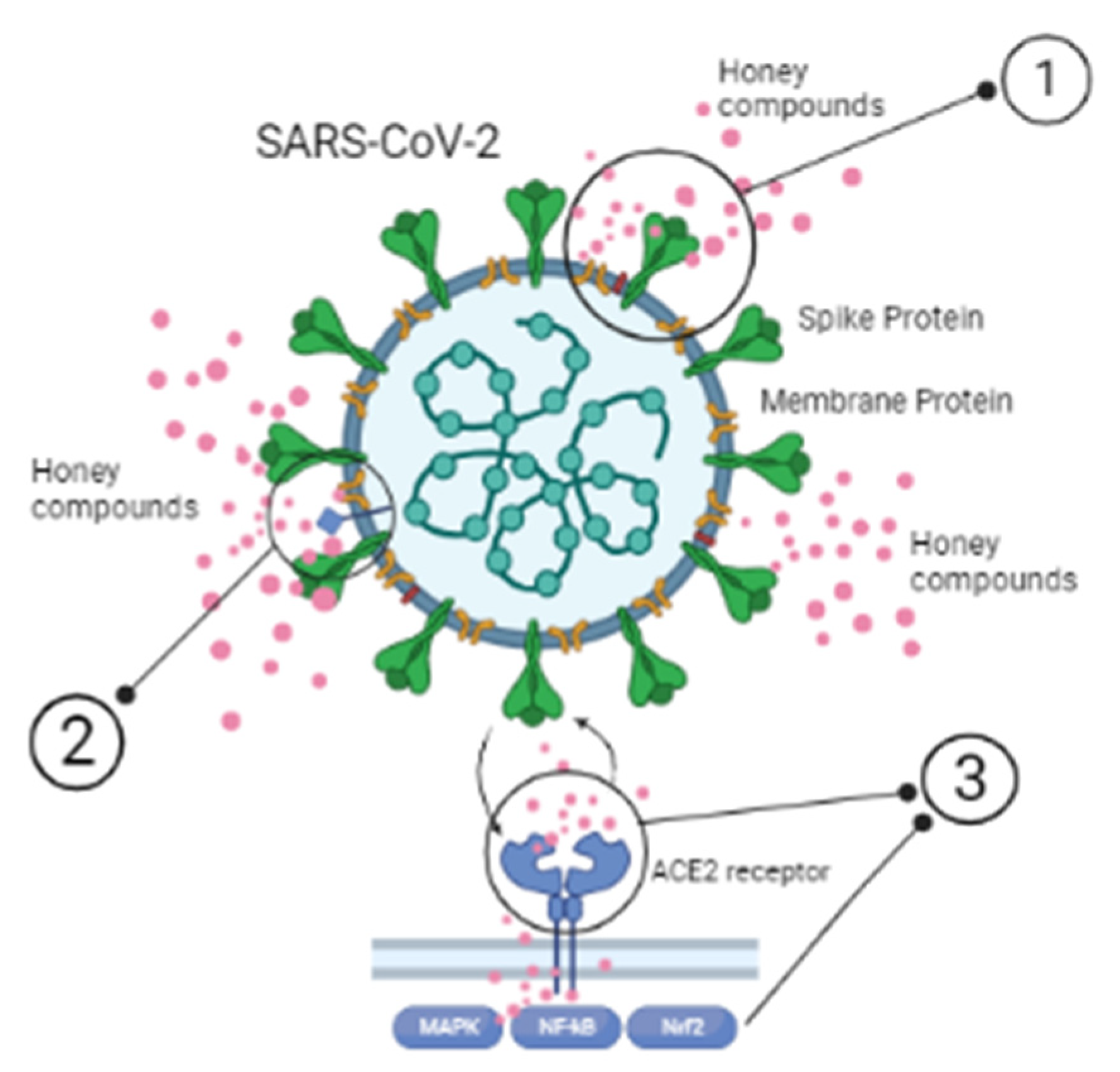 Applsci 12 07800 g003