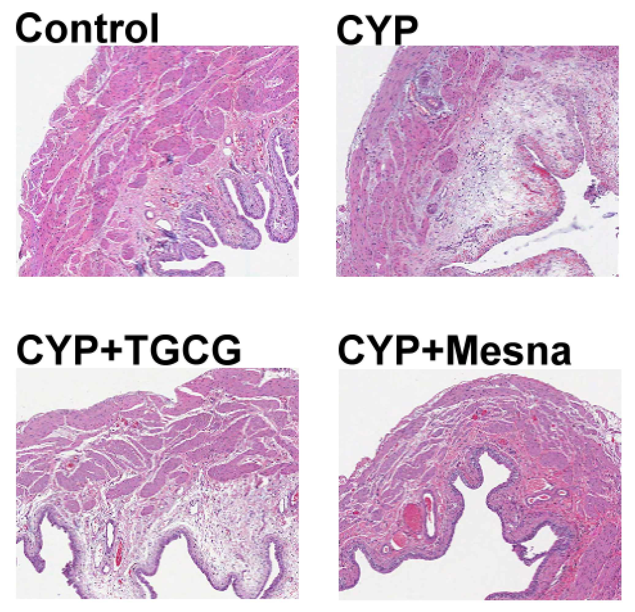 Applsci 12 07828 g003