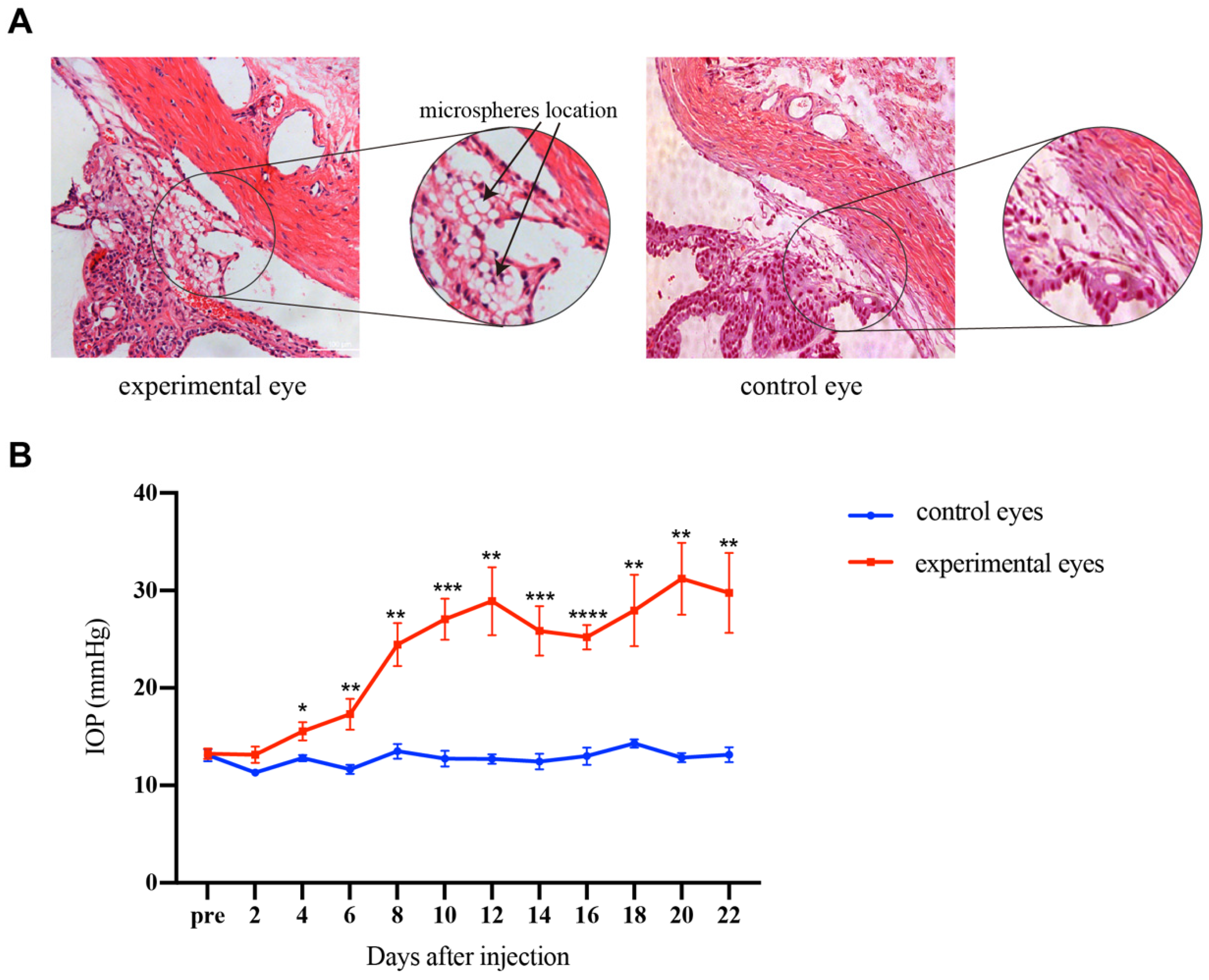 Applsci 12 07862 g002