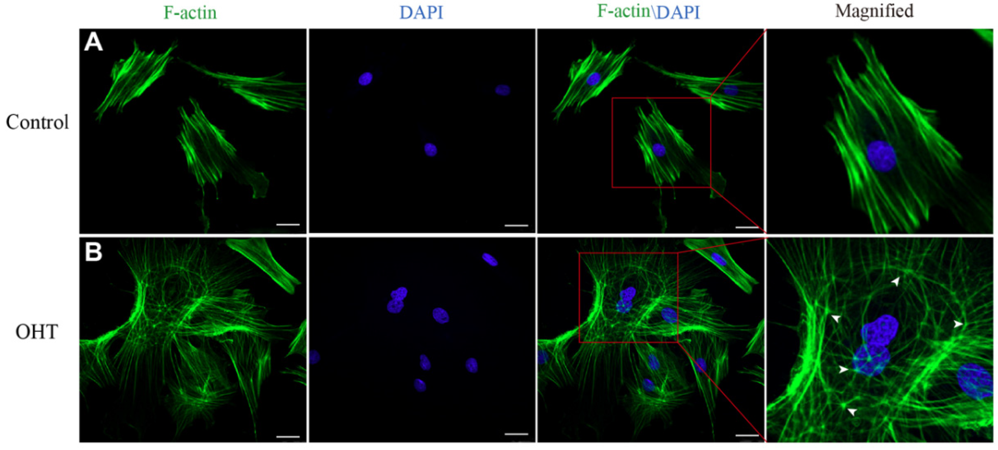 Applsci 12 07862 g004