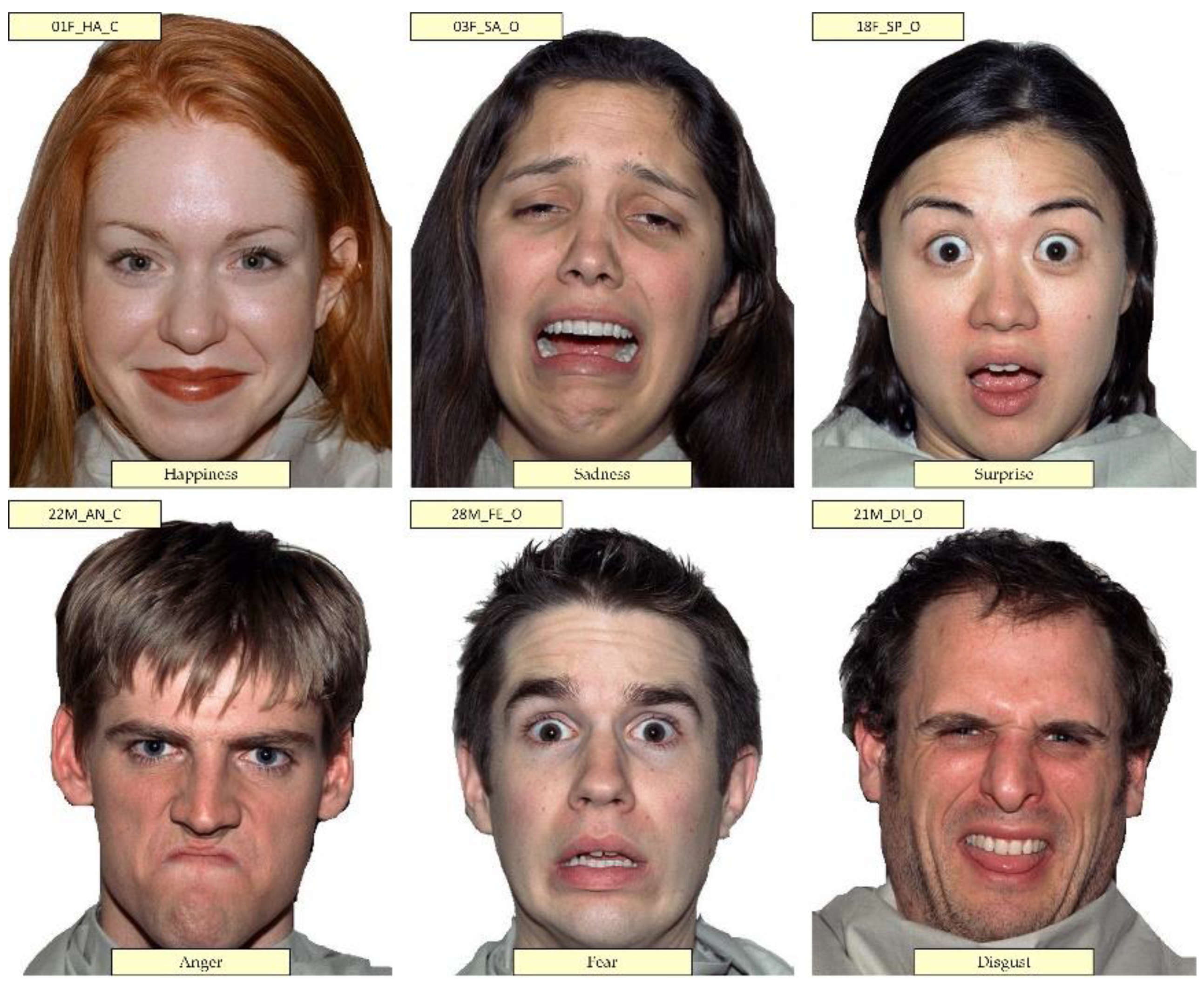 Applsci 12 07864 g002