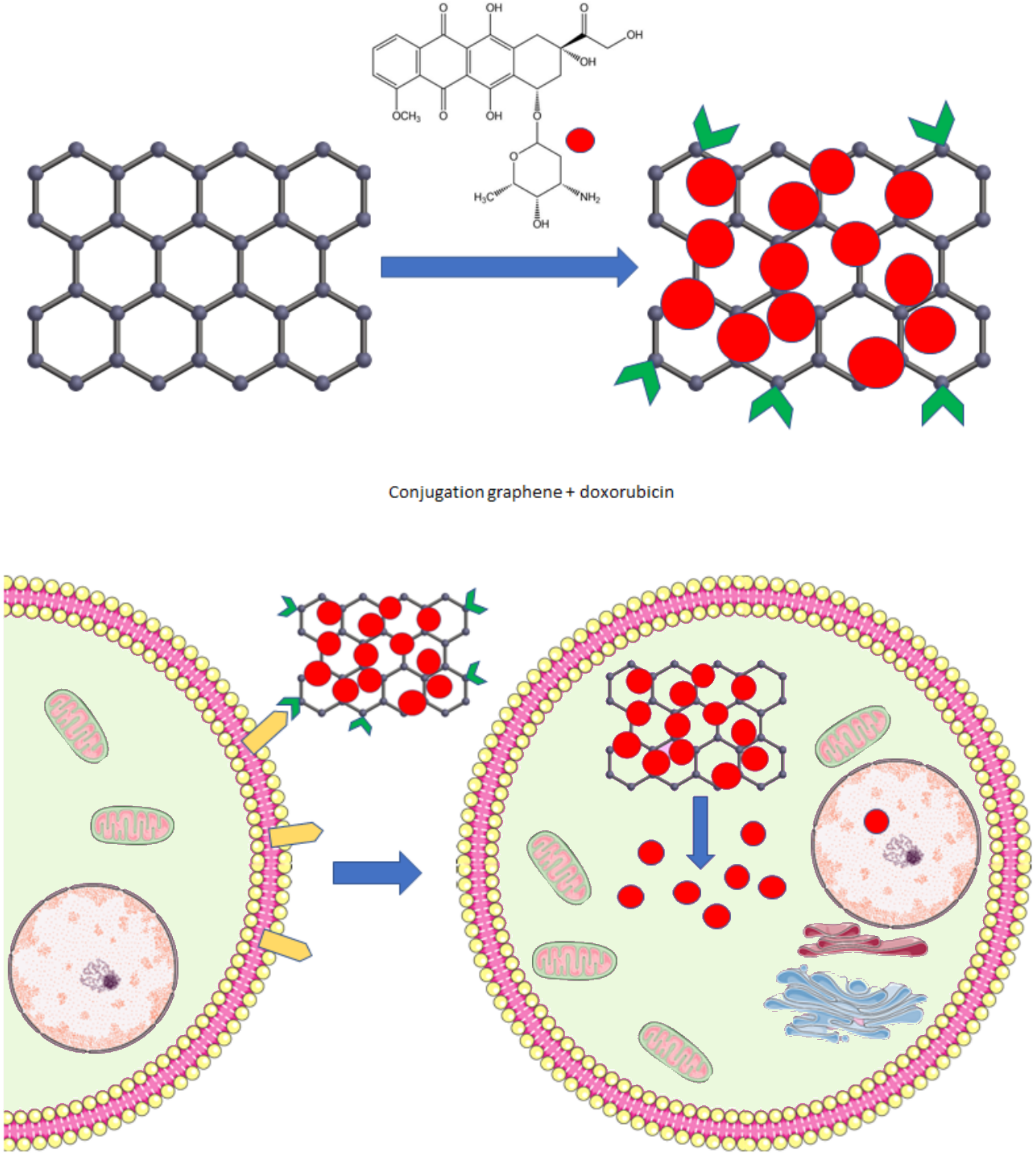 Applsci 12 07865 g004 Applsci 12 07865 g004