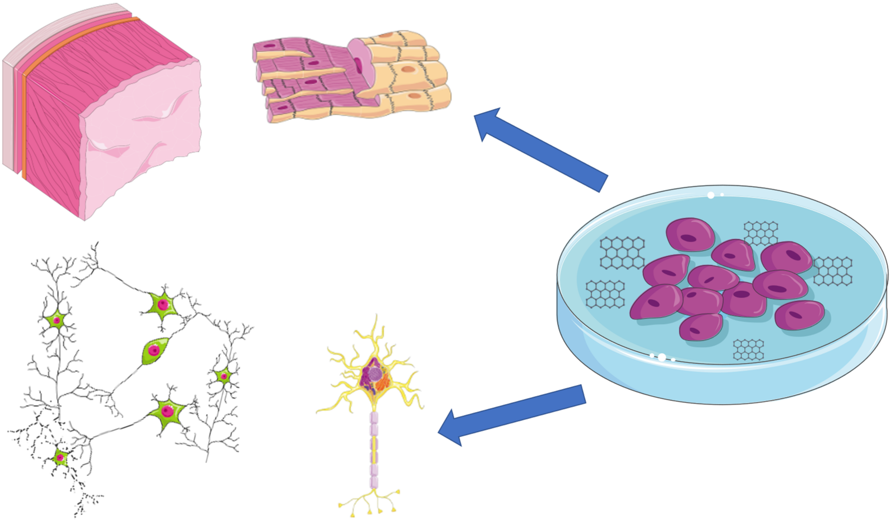 Applsci 12 07865 g005 Applsci 12 07865 g005