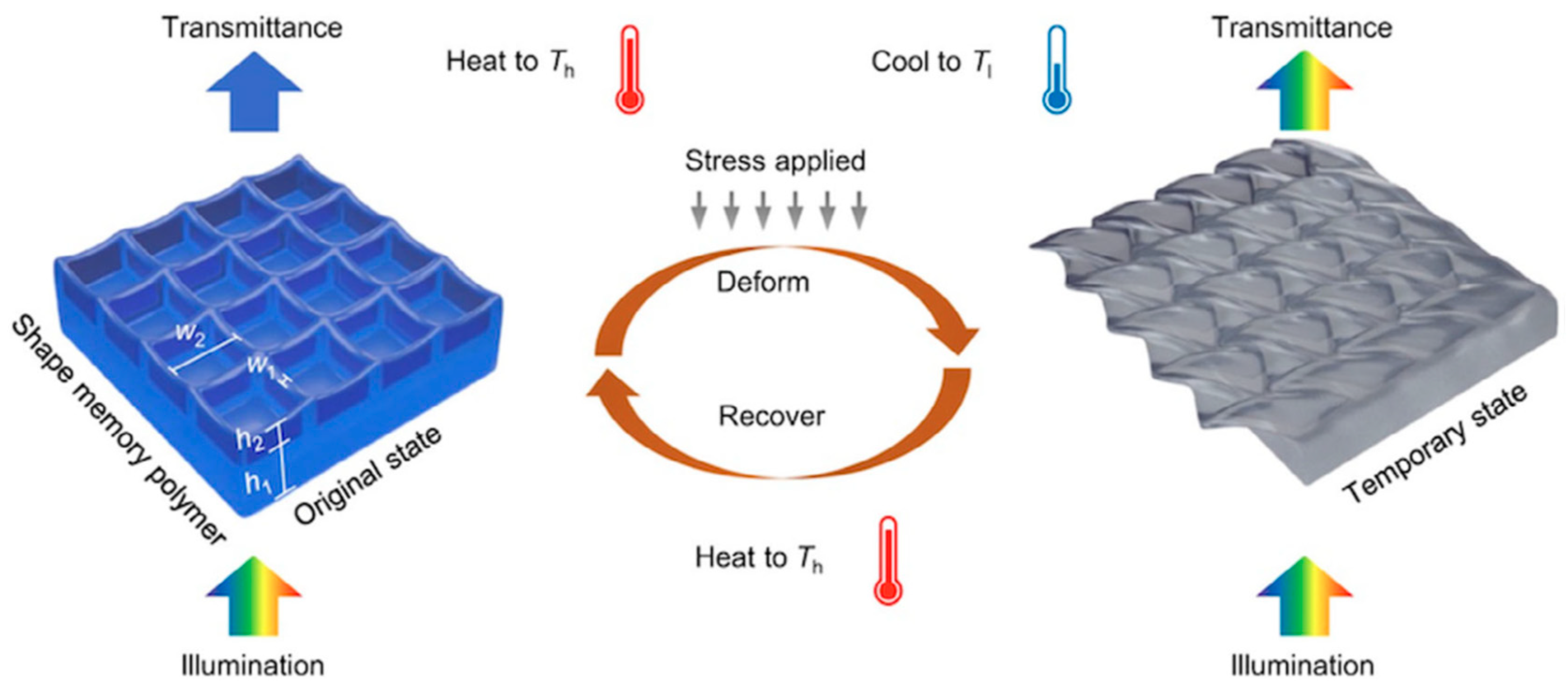 Applsci 12 07880 g014 550