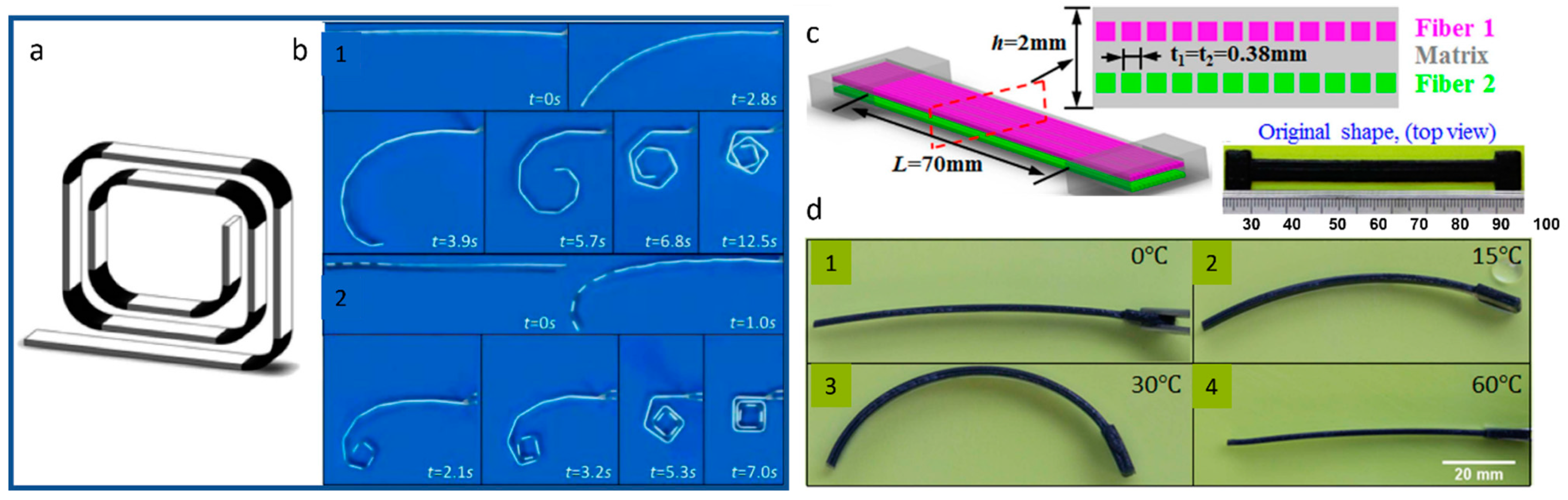 Applsci 12 07880 g016 550