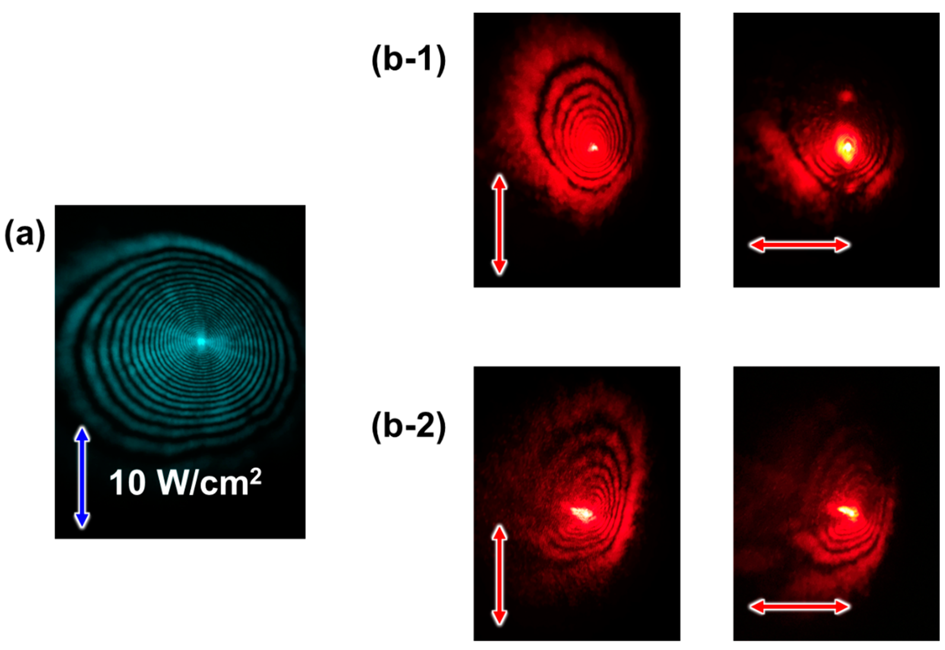 Applsci 12 07901 g009