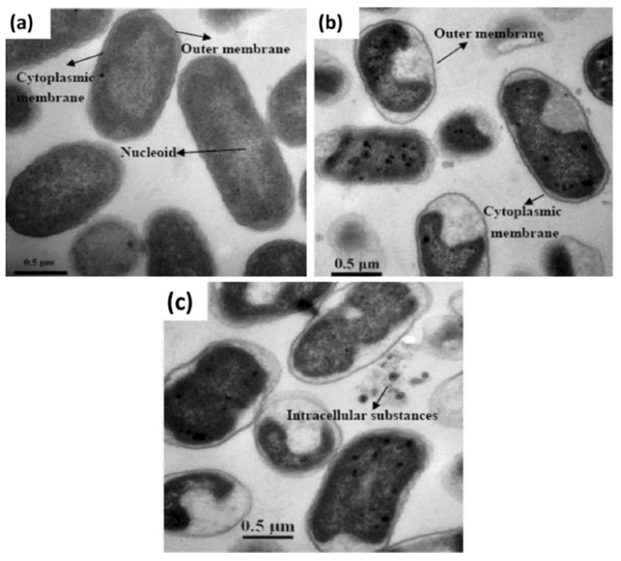 Applsci 12 07910 g010