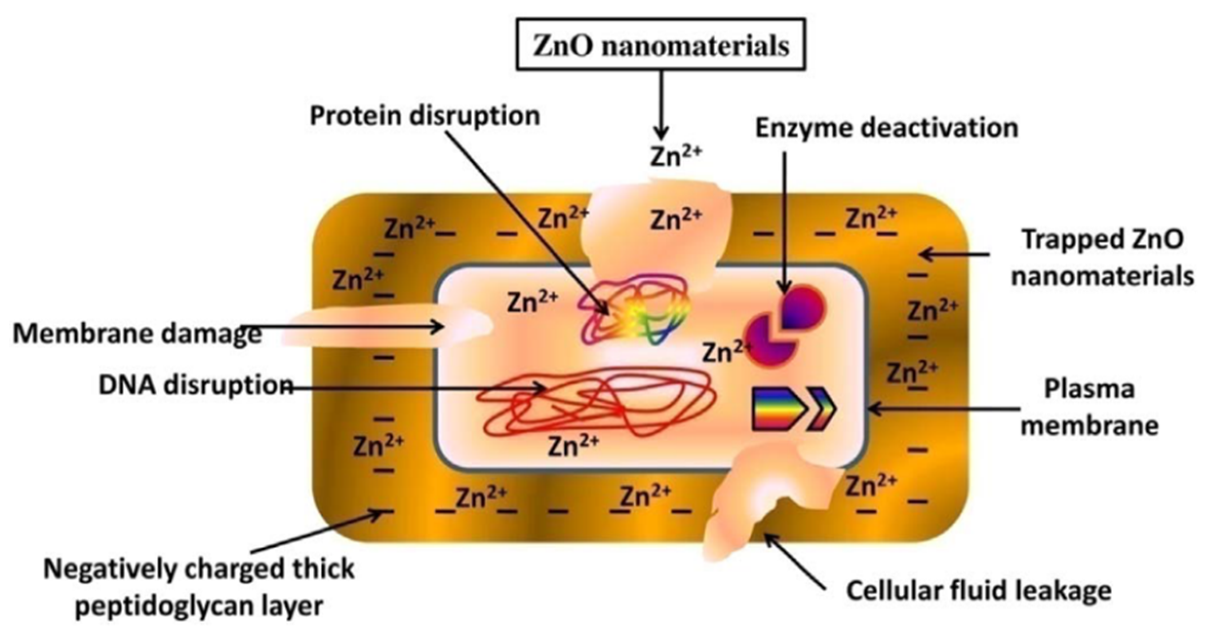 Applsci 12 07910 g011