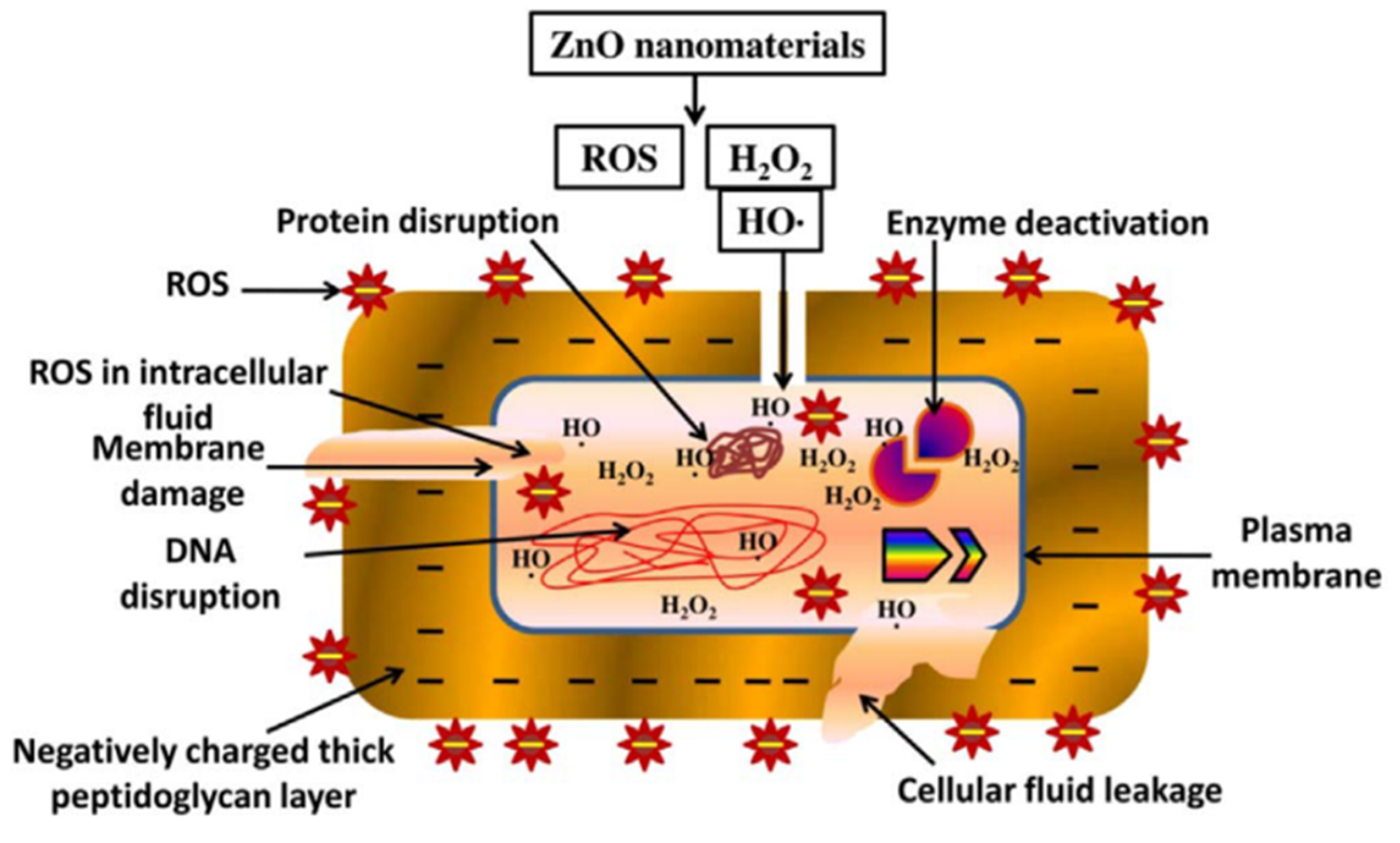 Applsci 12 07910 g012