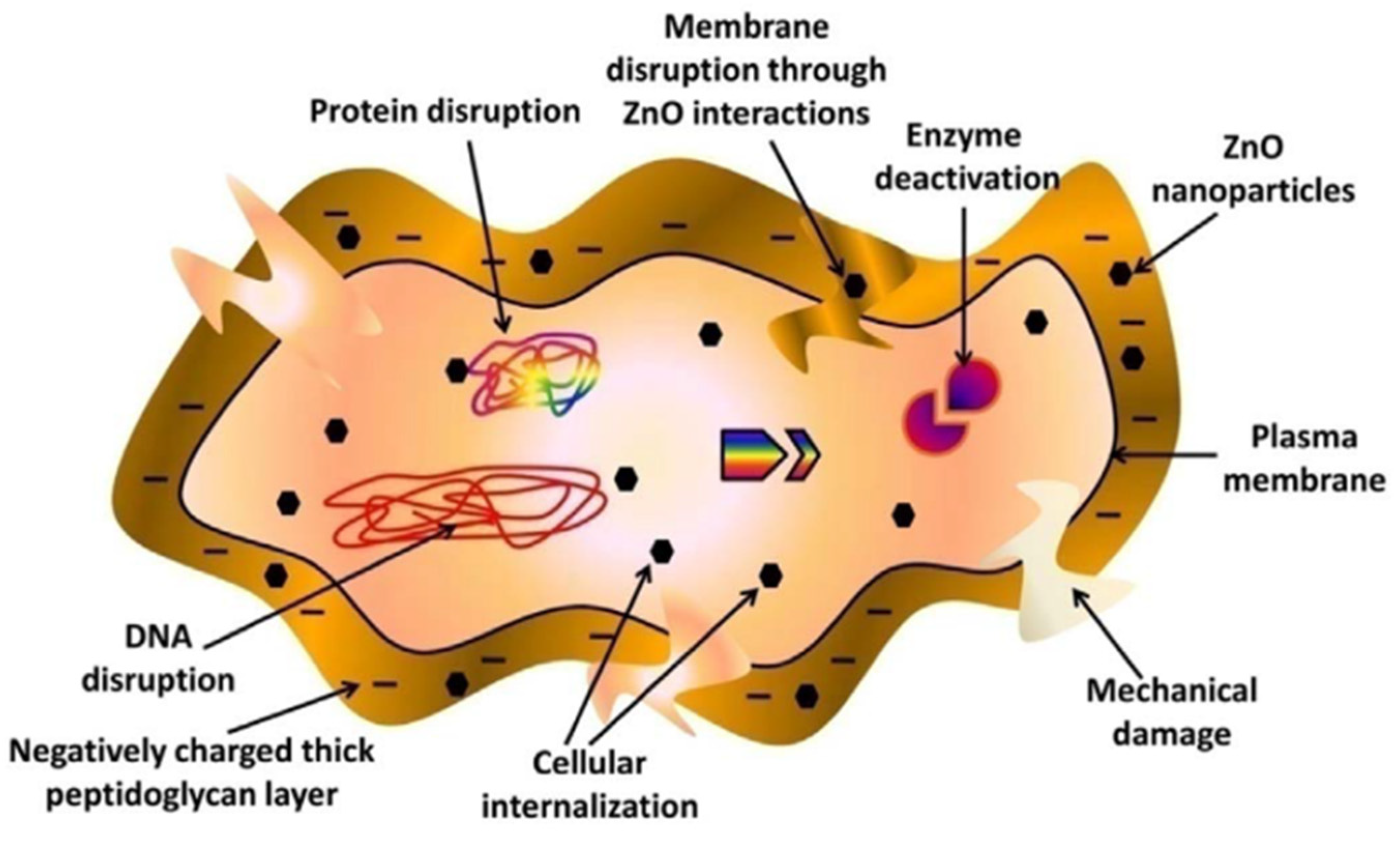 Applsci 12 07910 g013