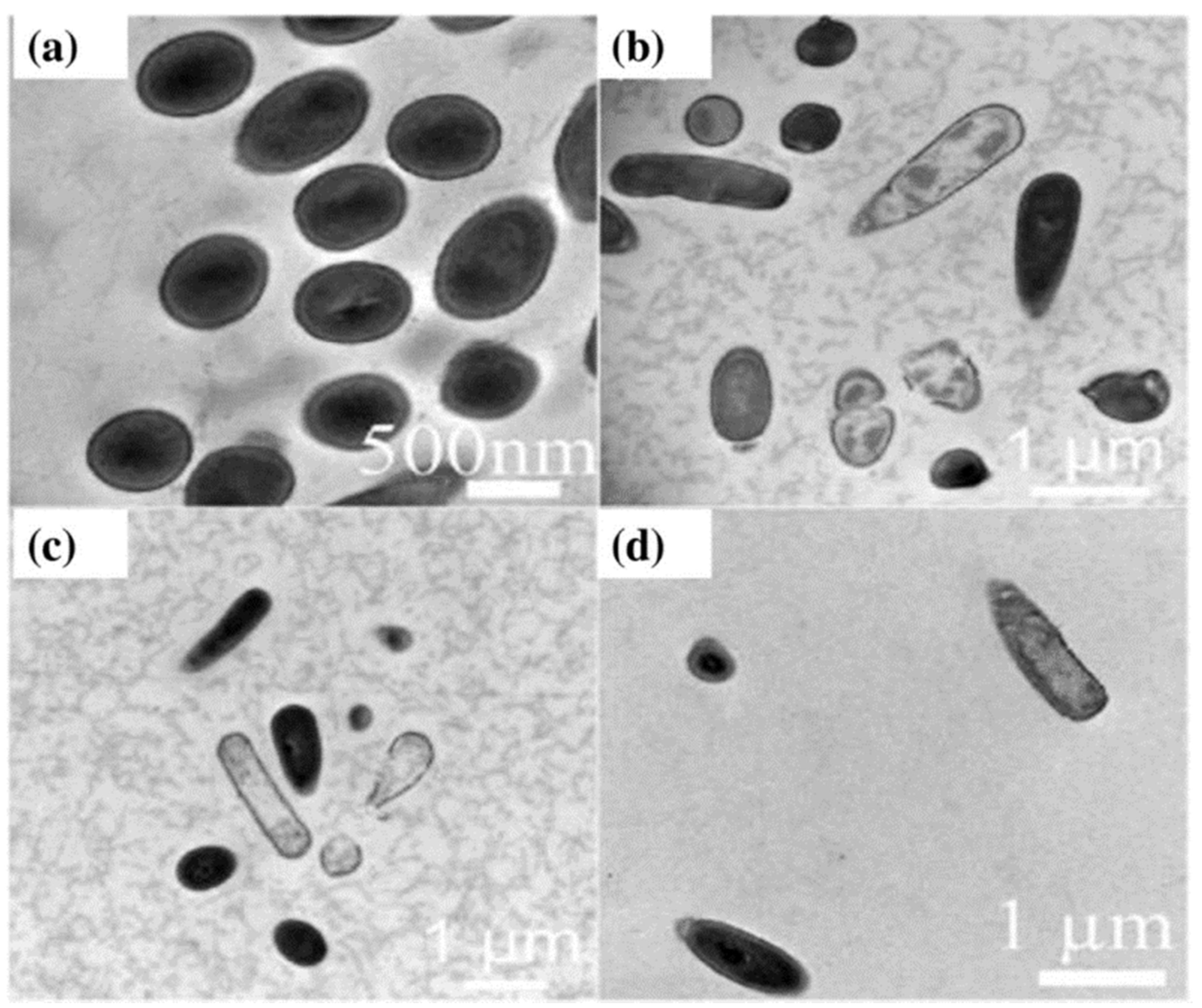 Applsci 12 07910 g014