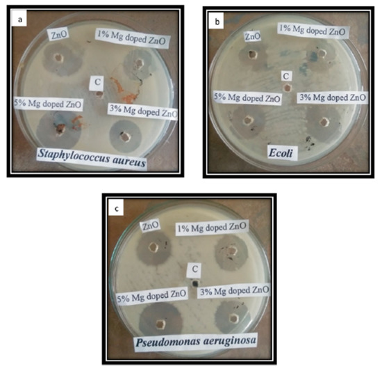 WATSON！ There are not many people in the world who would recognize a