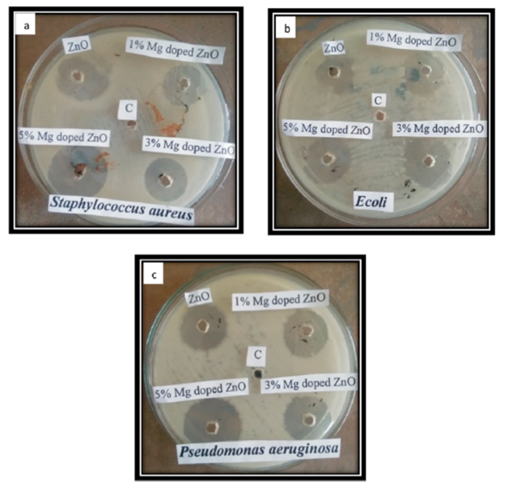 Applsci 12 07910 g015