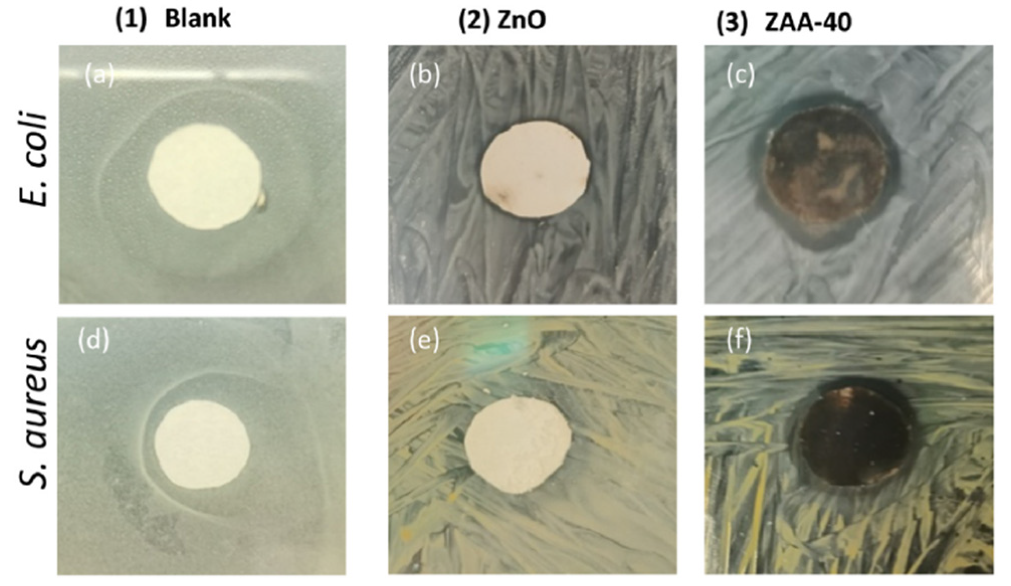 Applsci 12 07910 g019