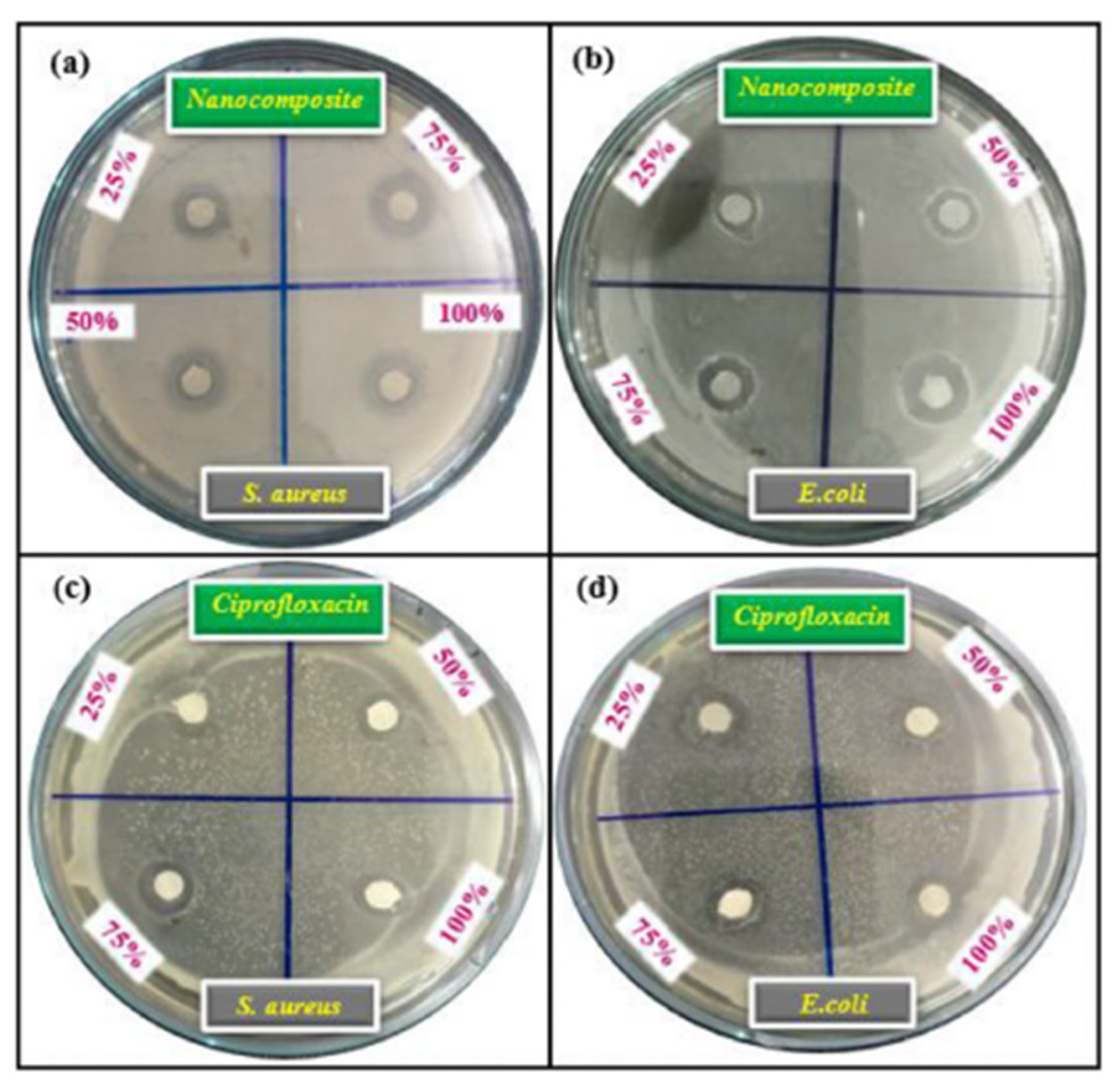 Applsci 12 07910 g020