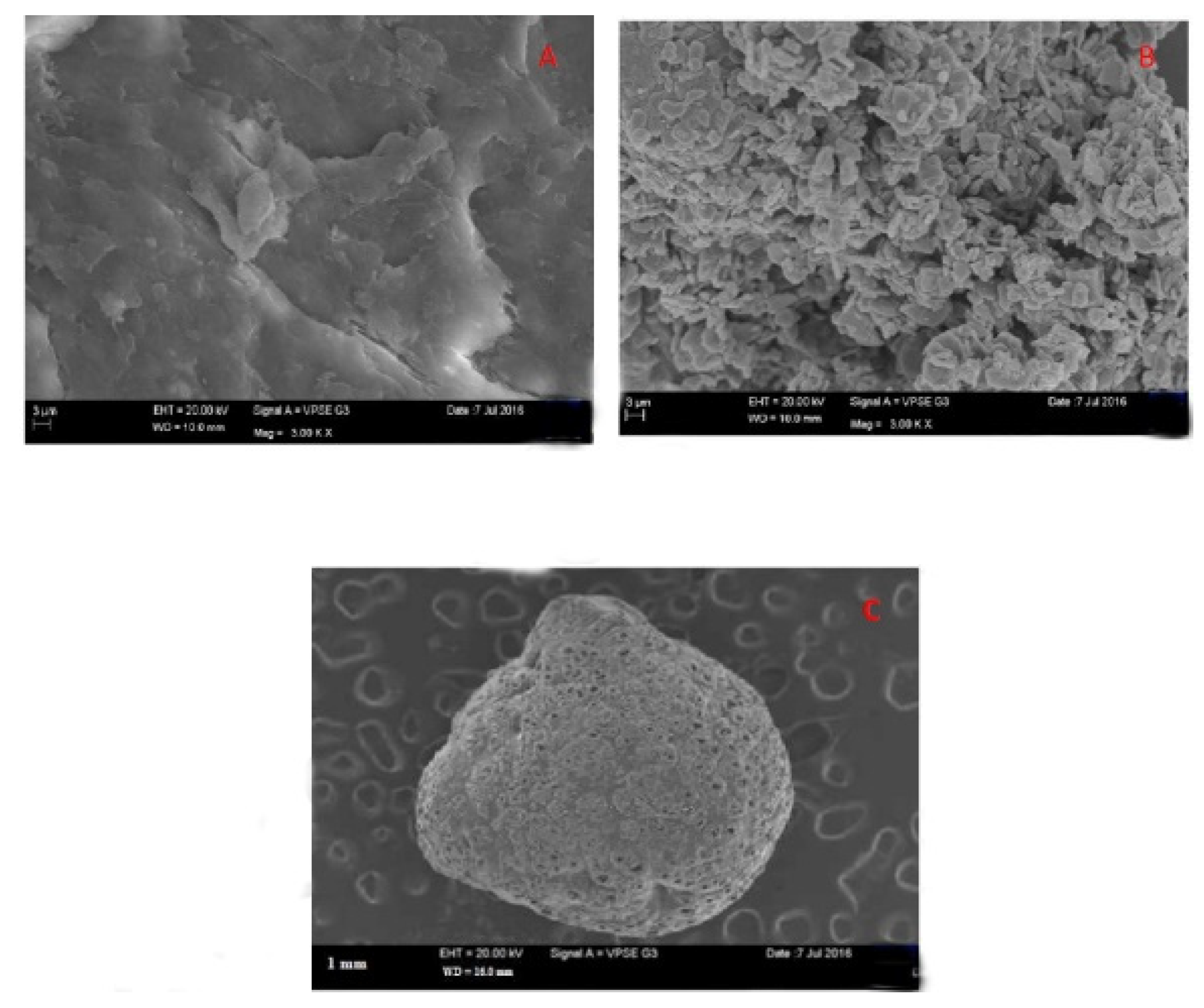 Applsci 12 07910 g022