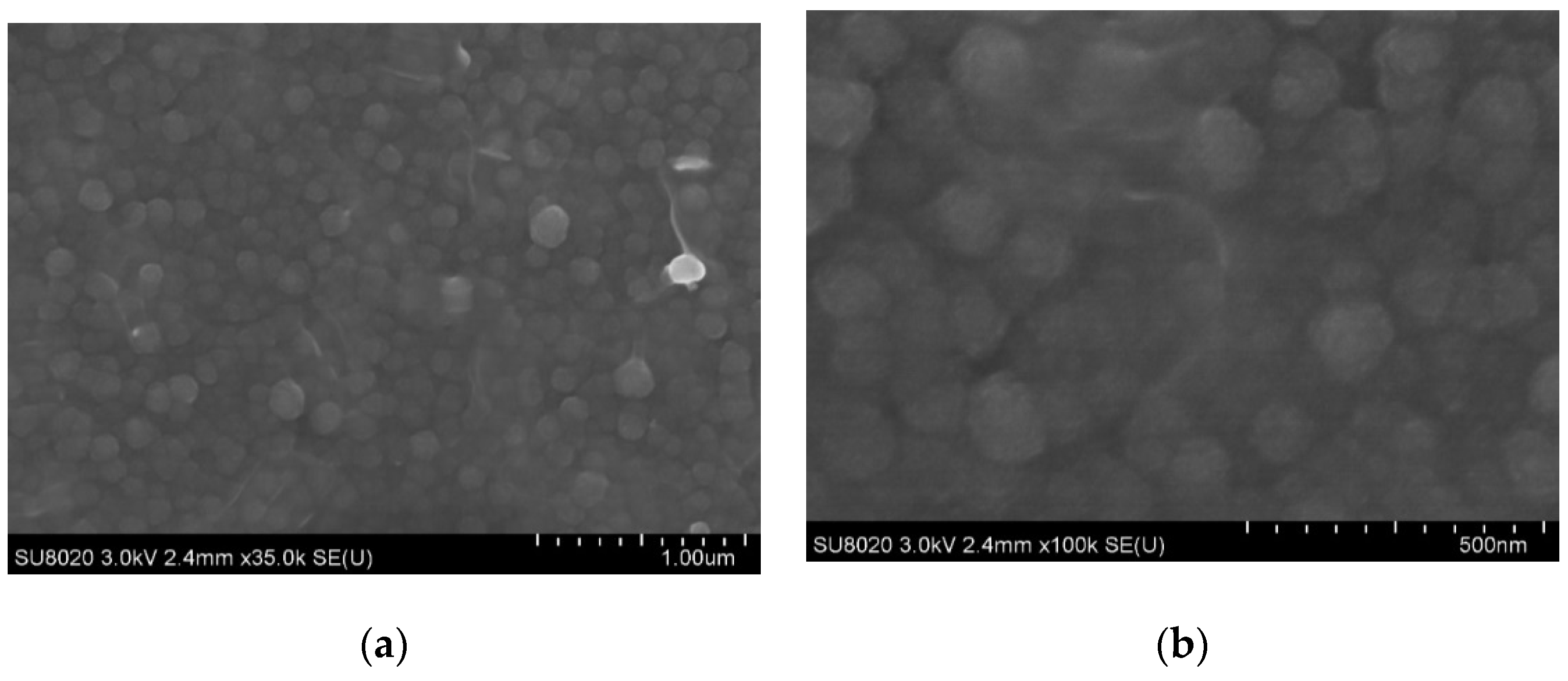 Applsci 12 07914 g005 Applsci 12 07914 g005