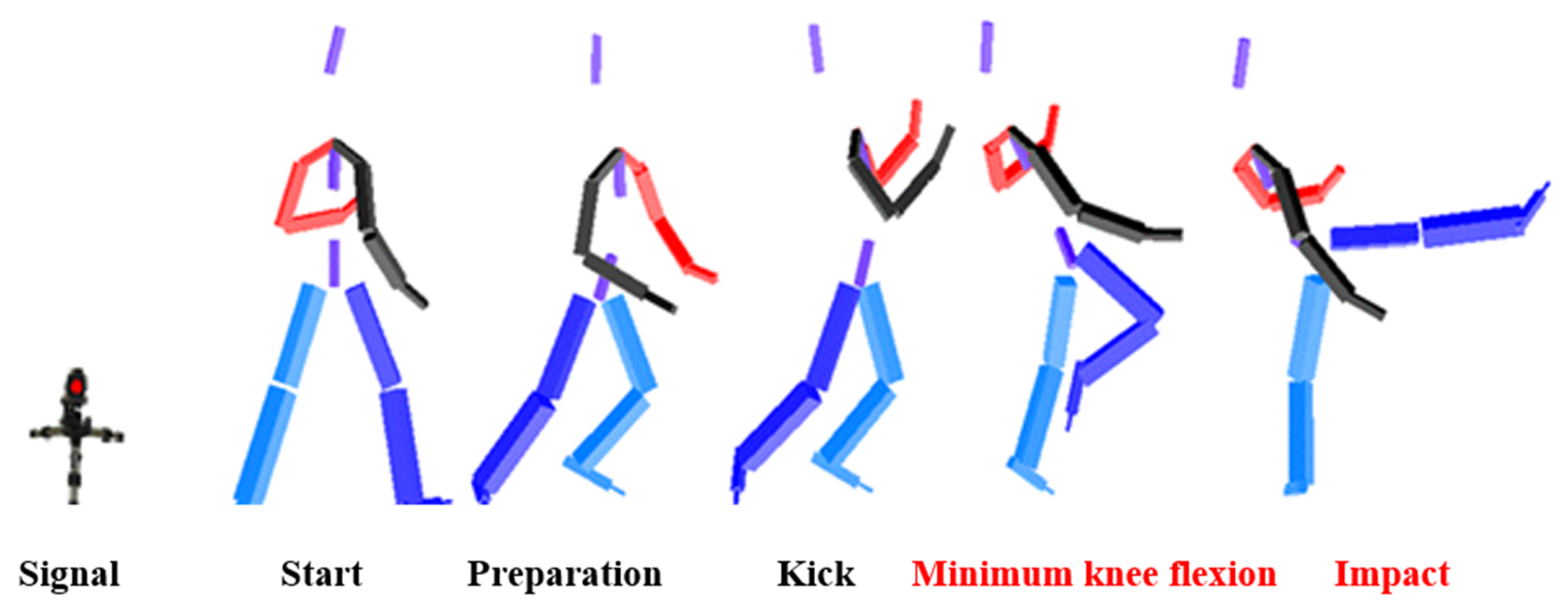 Taekwondo Roundhouse Kick