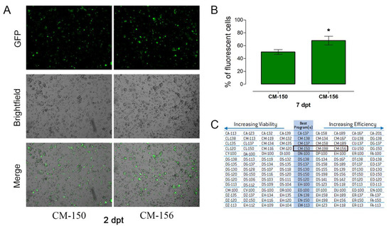 Nucleofection as an Efficient Method for Alpha TC1-6 Cell