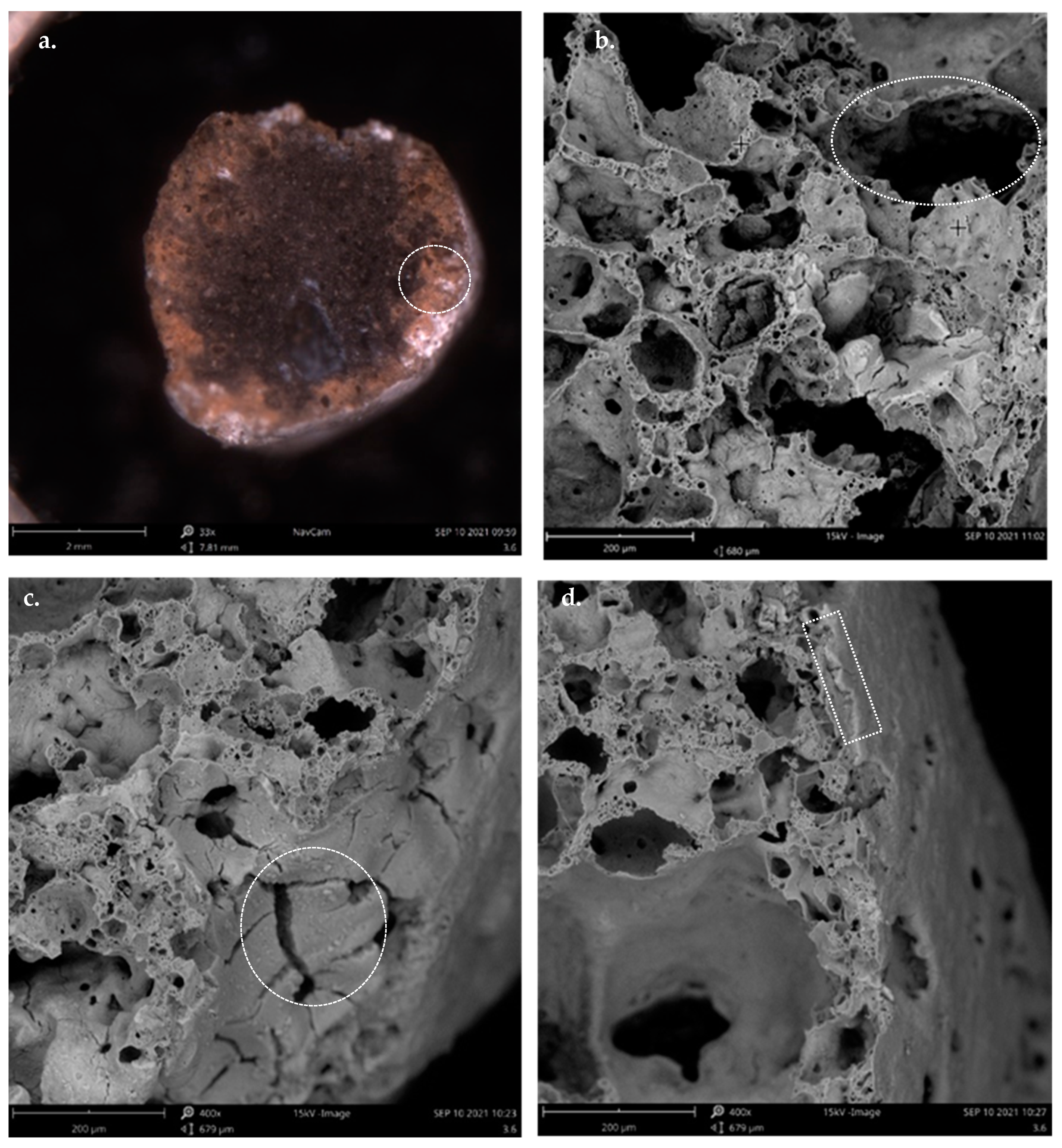 Applsci 12 07941 g007 550