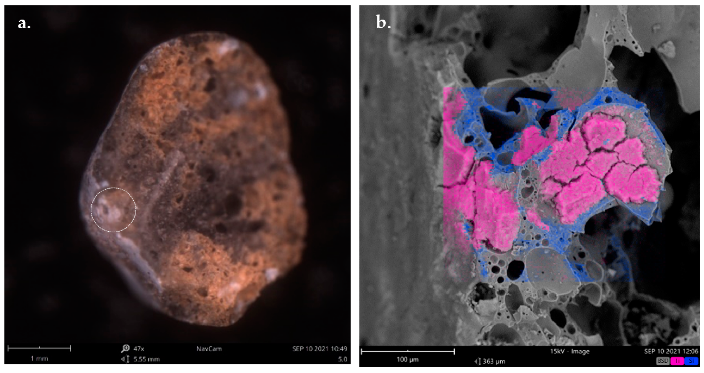 Applsci 12 07941 g010 550