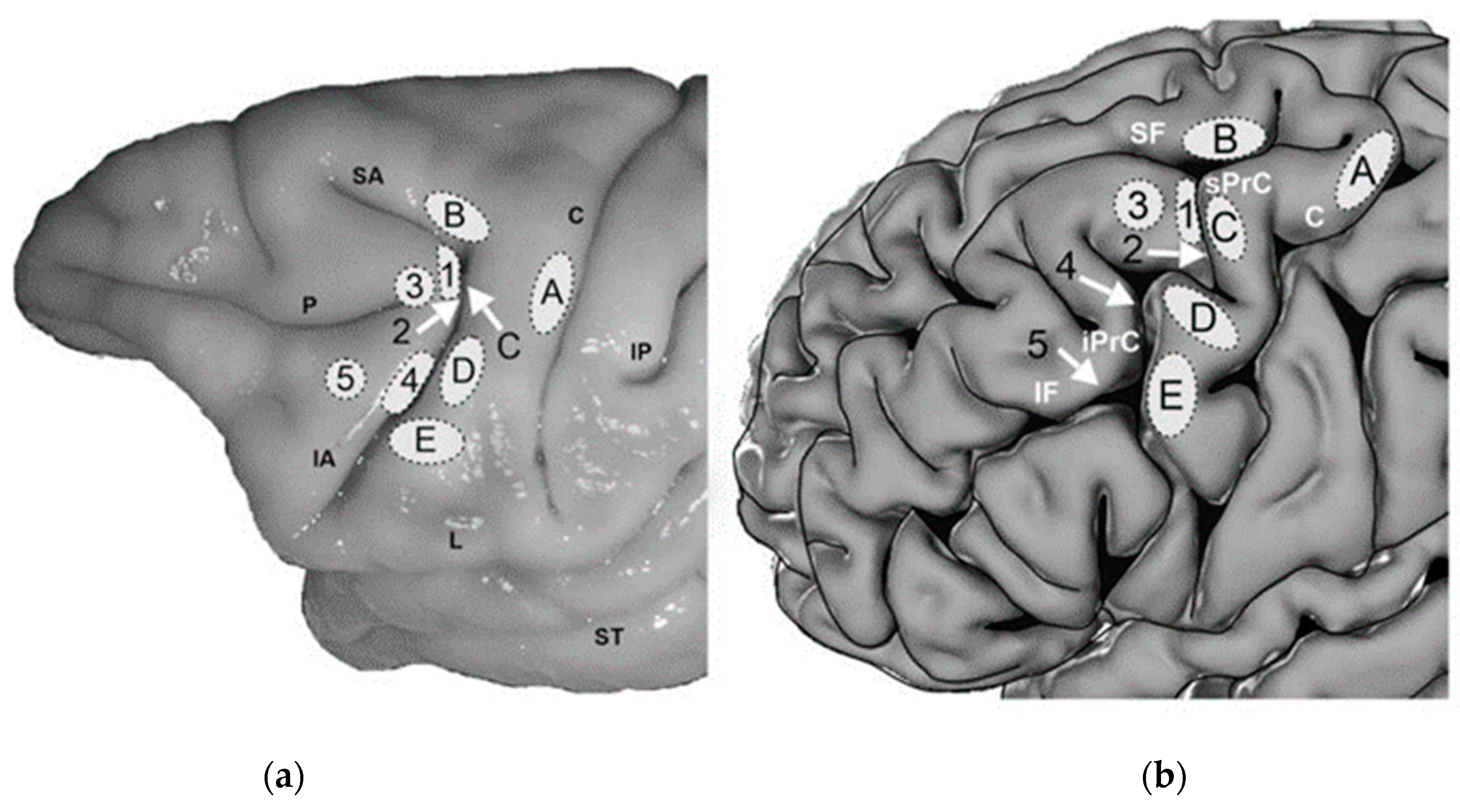 Applsci 12 07970 g003 Applsci 12 07970 g003