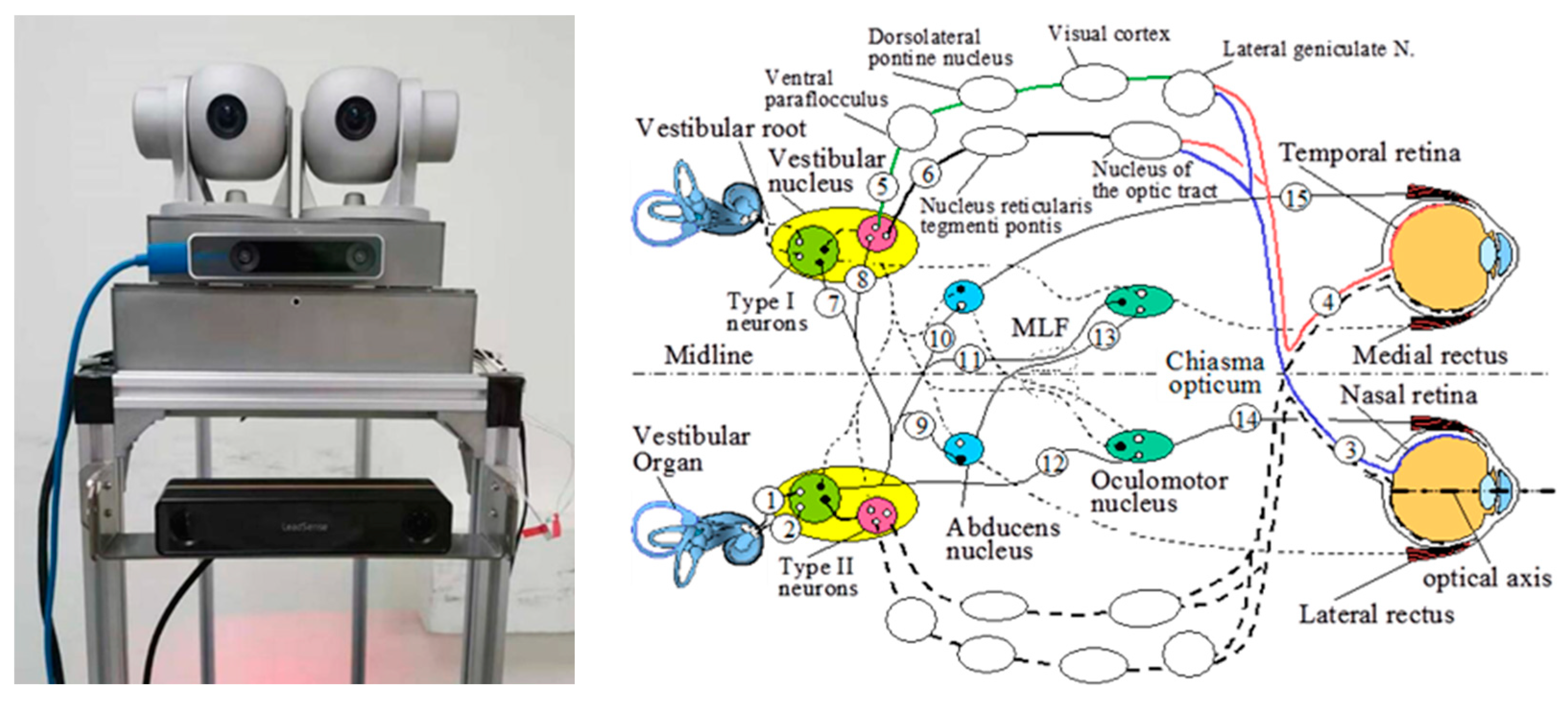 Applsci 12 07970 g009 Applsci 12 07970 g009