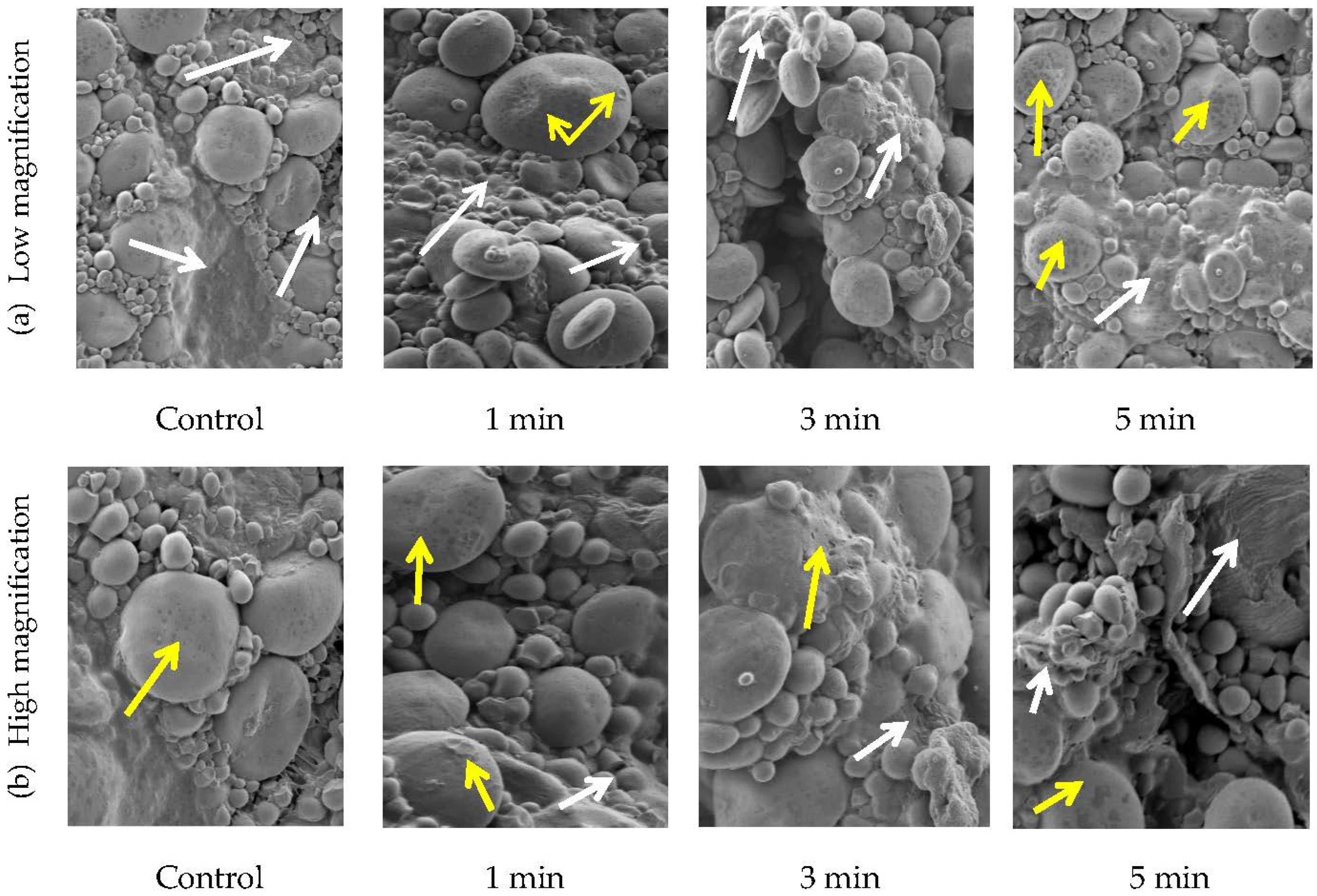 Applsci 12 07997 g006