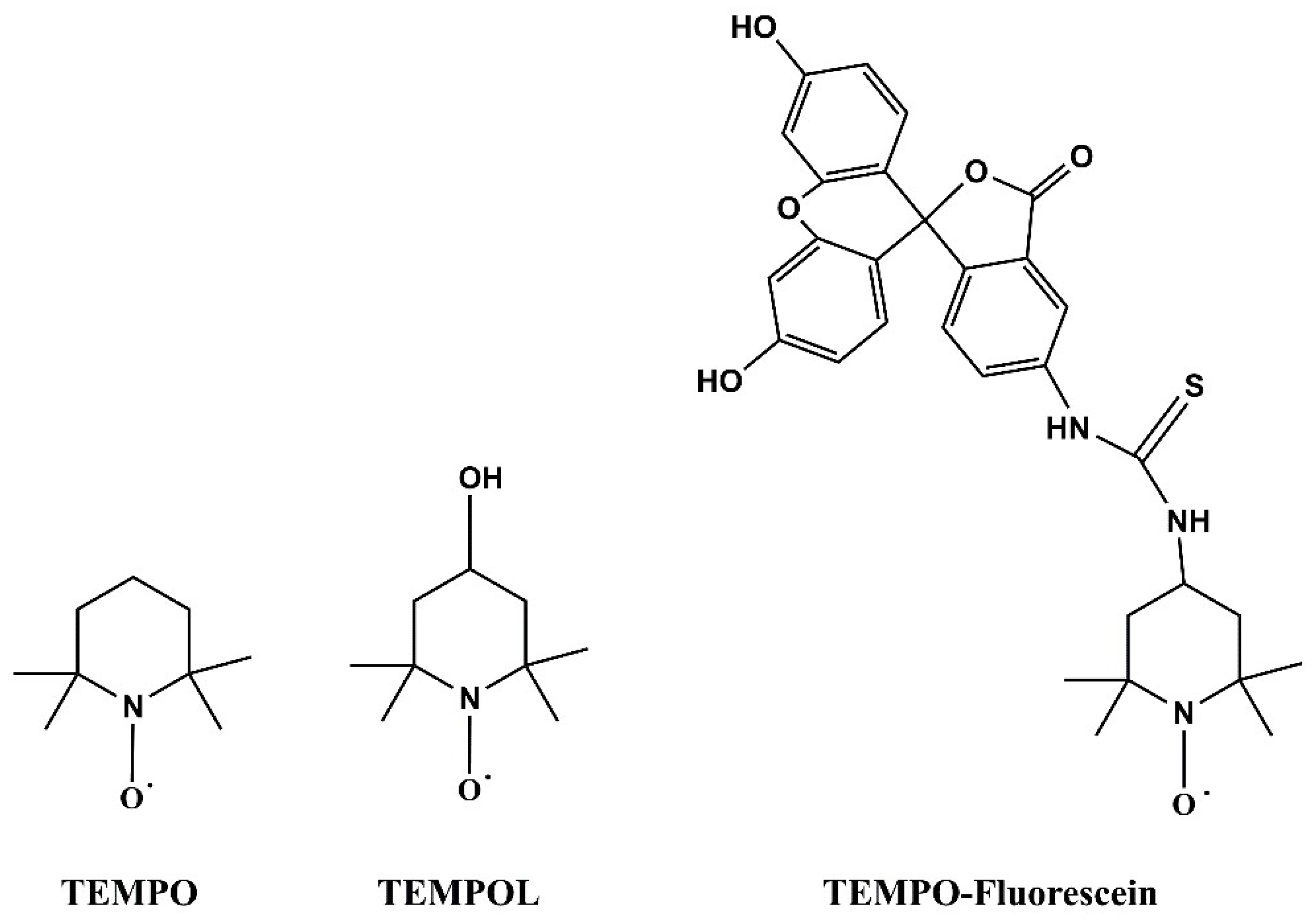 Applsci 12 07999 g001