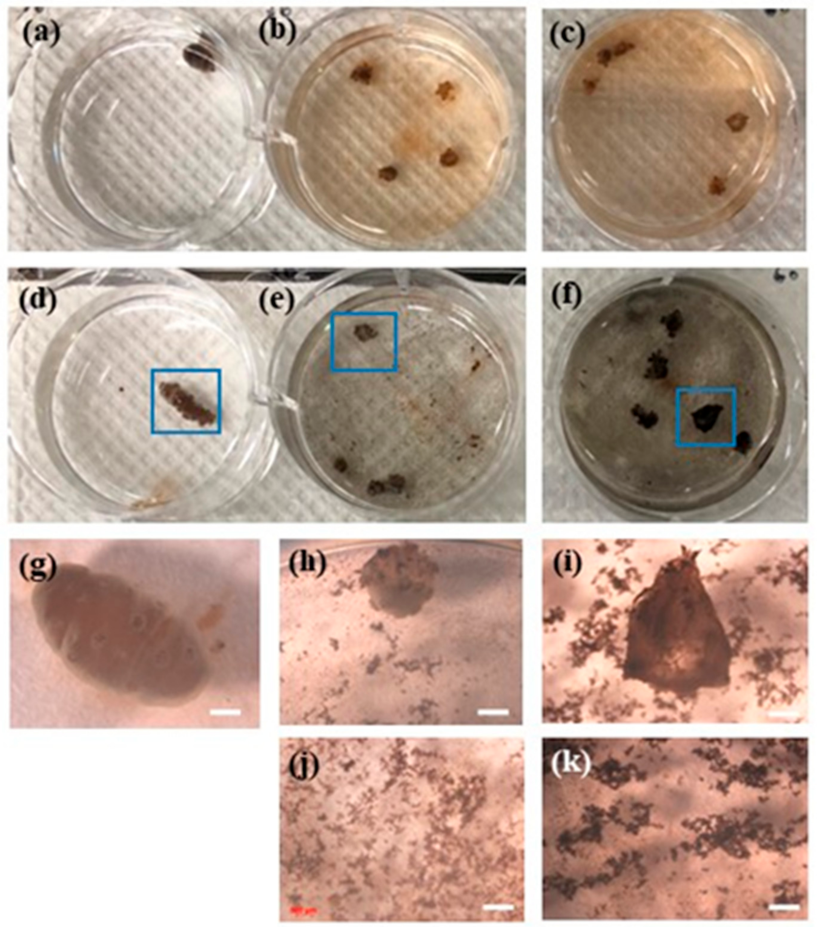 Applsci 12 08012 g006 550