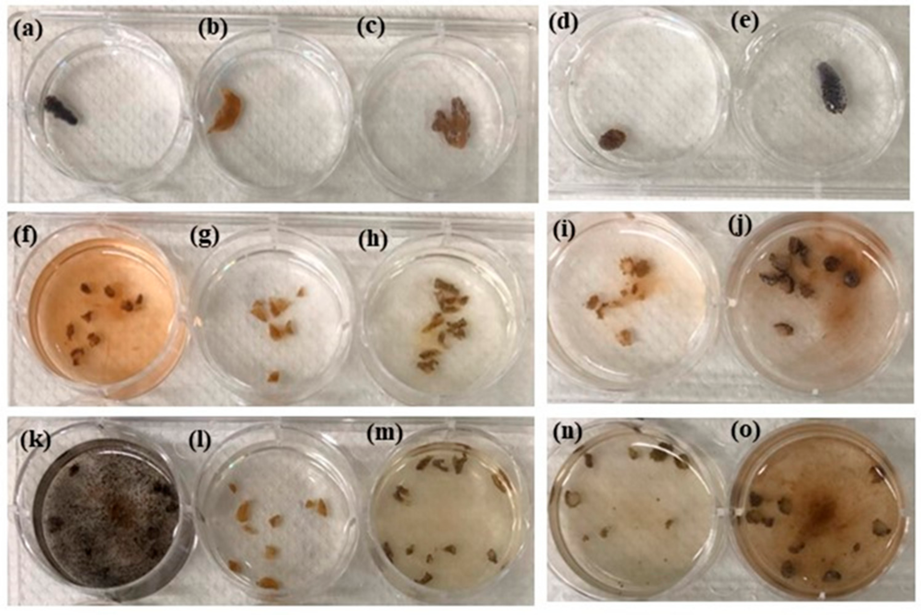 Applsci 12 08012 g007 550