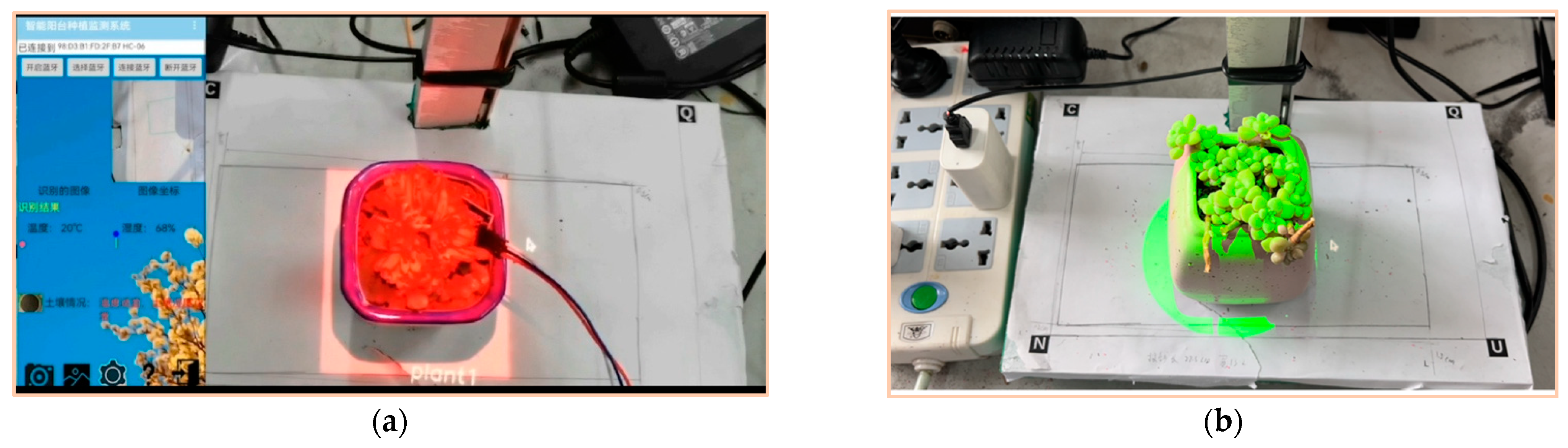 Applsci 12 08019 g008 550