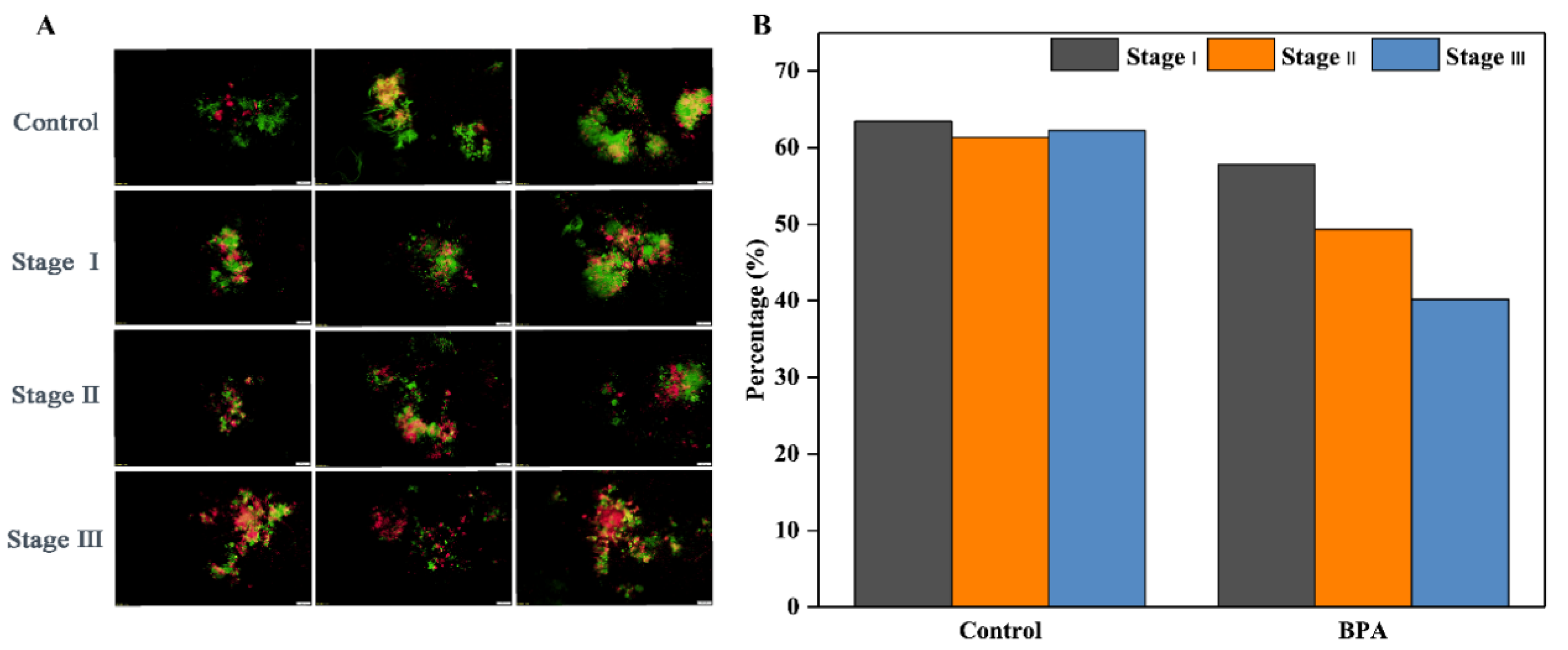 Applsci 12 08026 g003