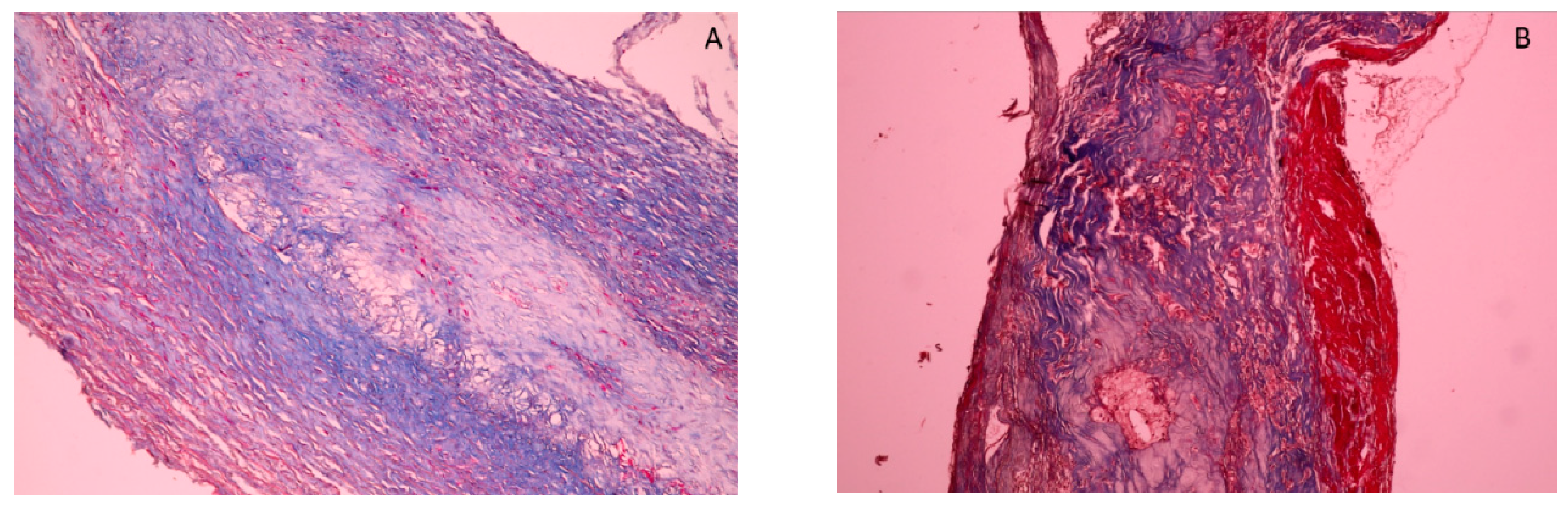 Applsci 12 08040 g002
