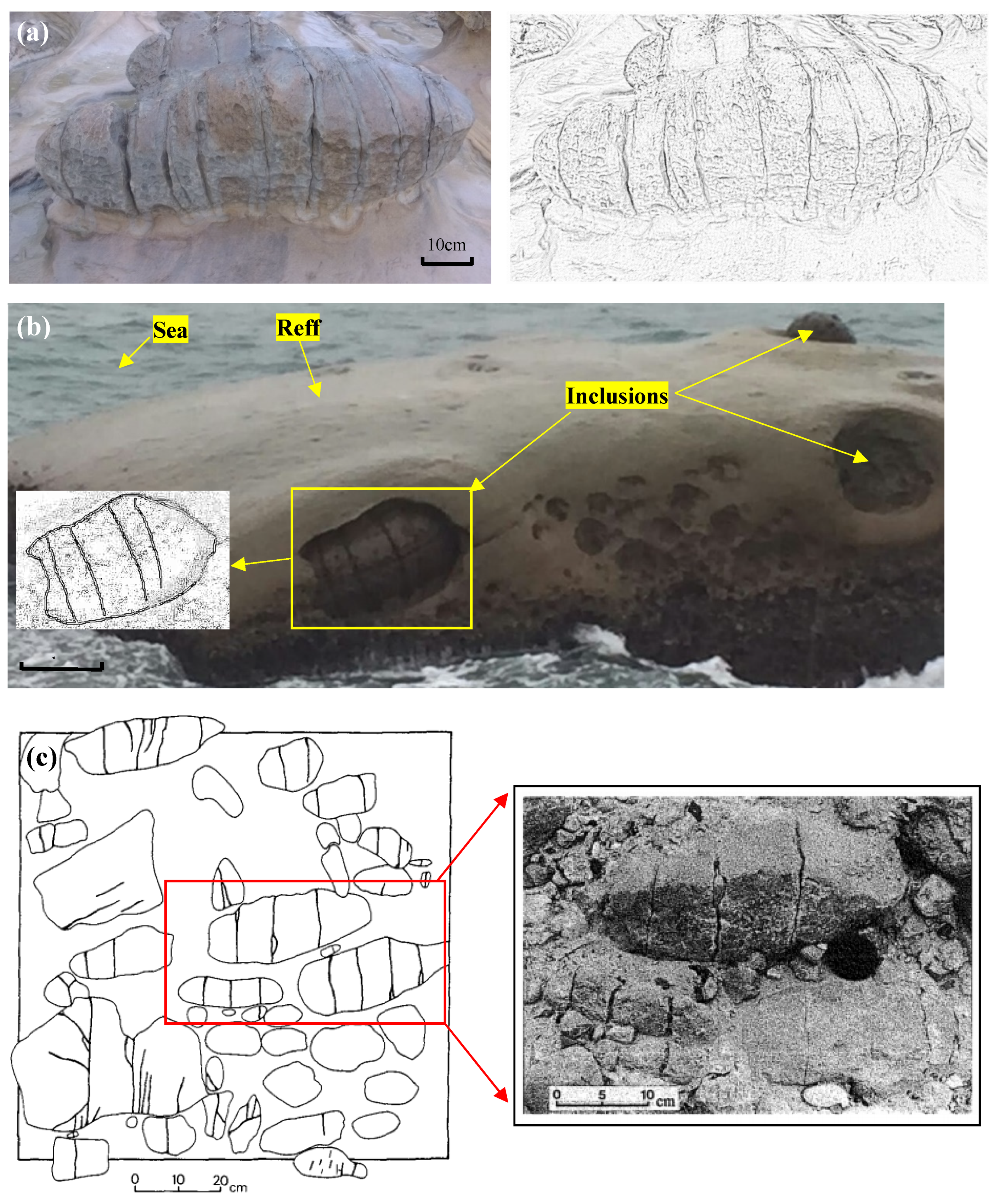 Applsci 12 08041 g001