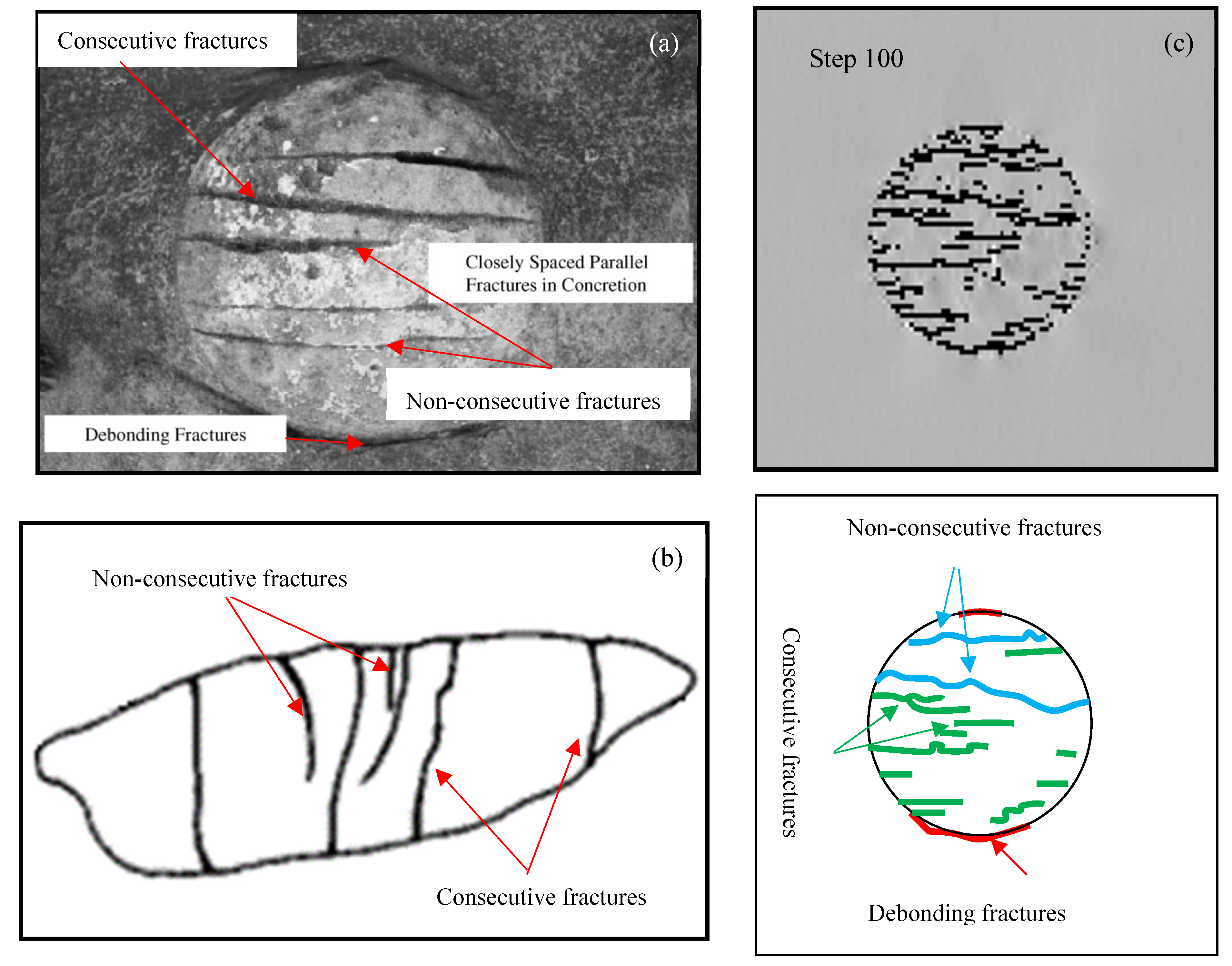 Applsci 12 08041 g007