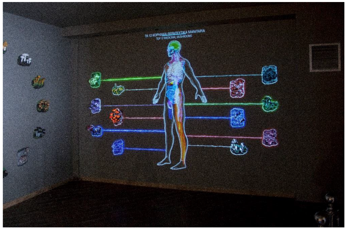 Applsci 12 08074 g001