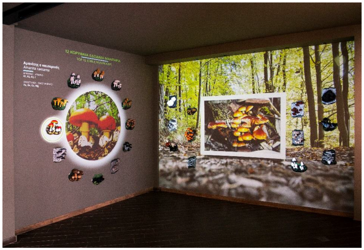 Applsci 12 08074 g002