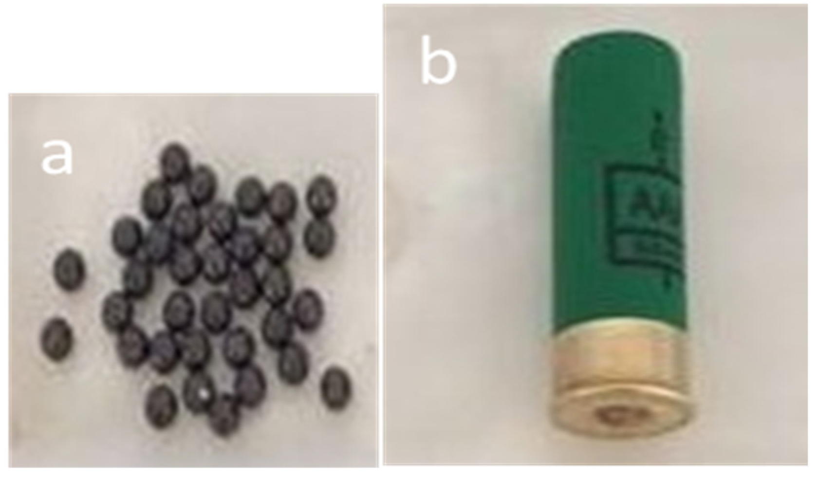 Applsci 12 08095 g001 Applsci 12 08095 g001