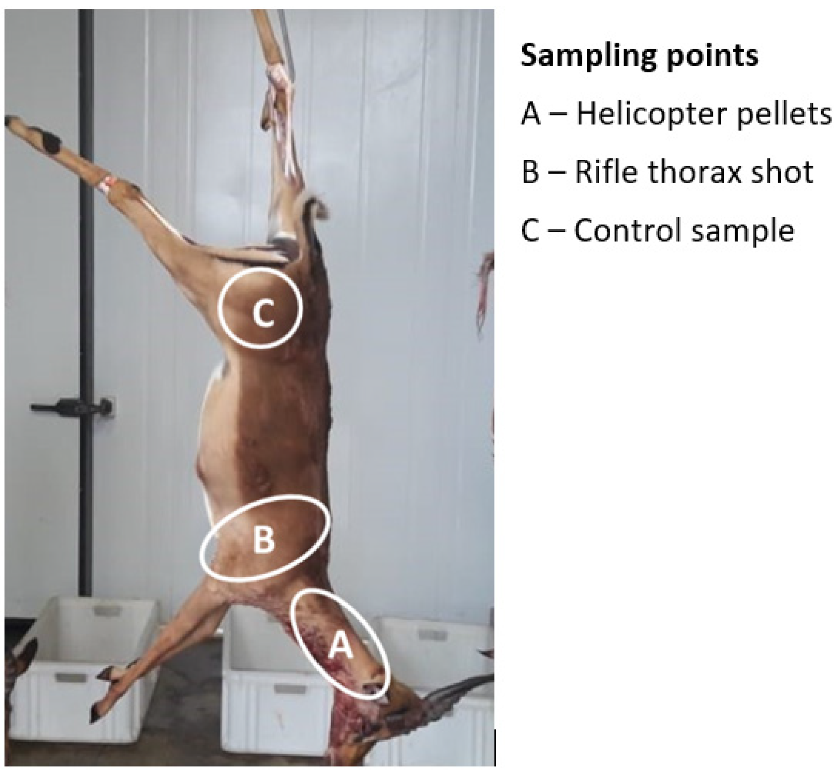 Applsci 12 08095 g004 Applsci 12 08095 g004