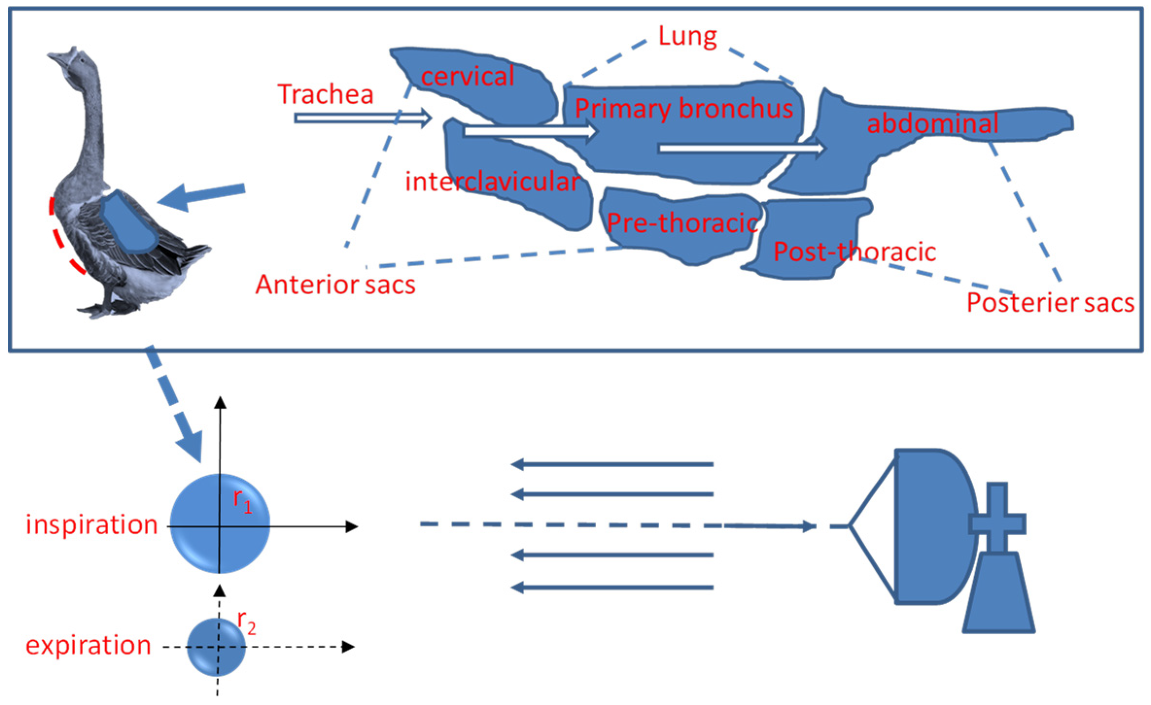 Applsci 12 08101 g001