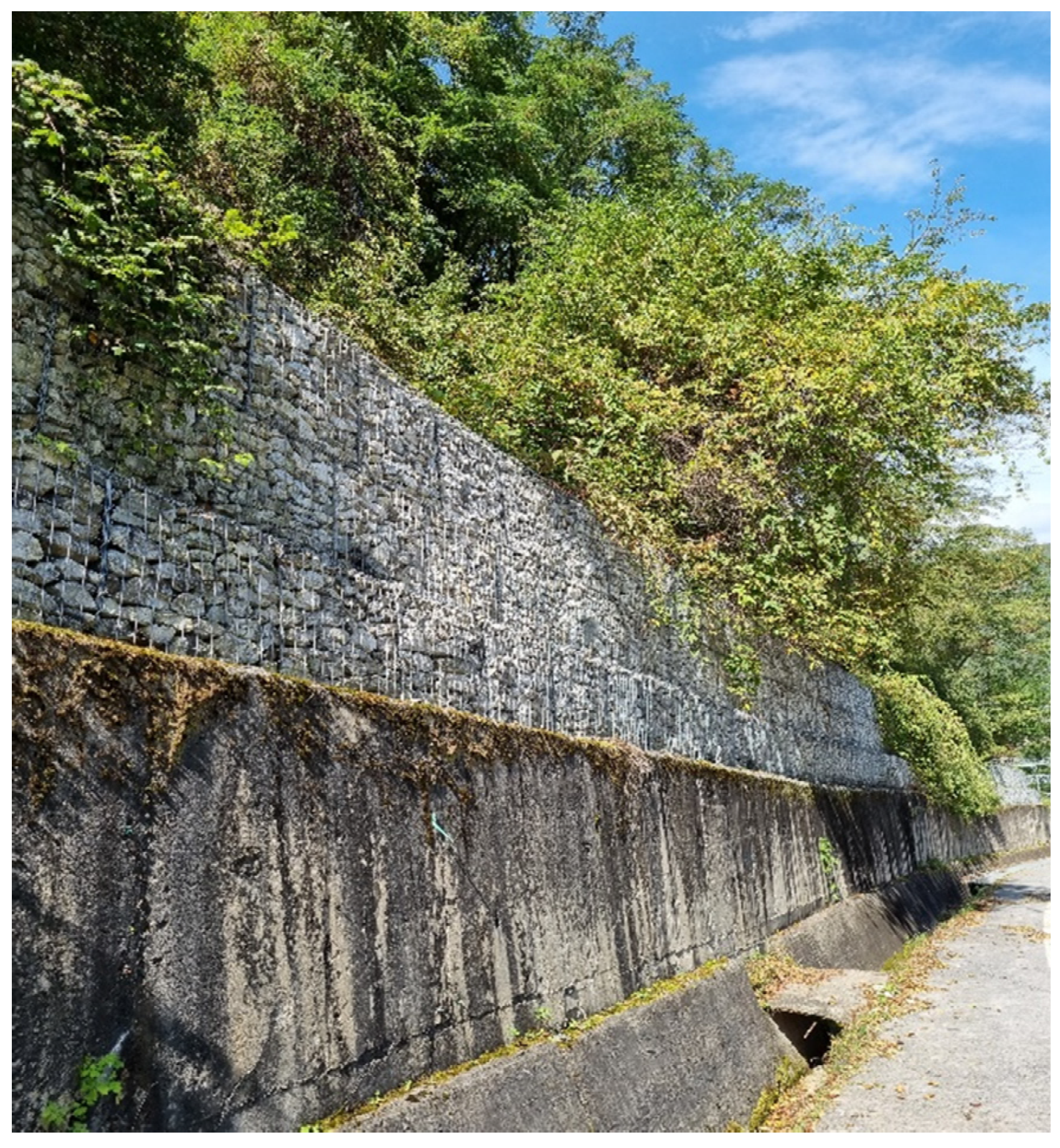 Applsci 12 08102 g008