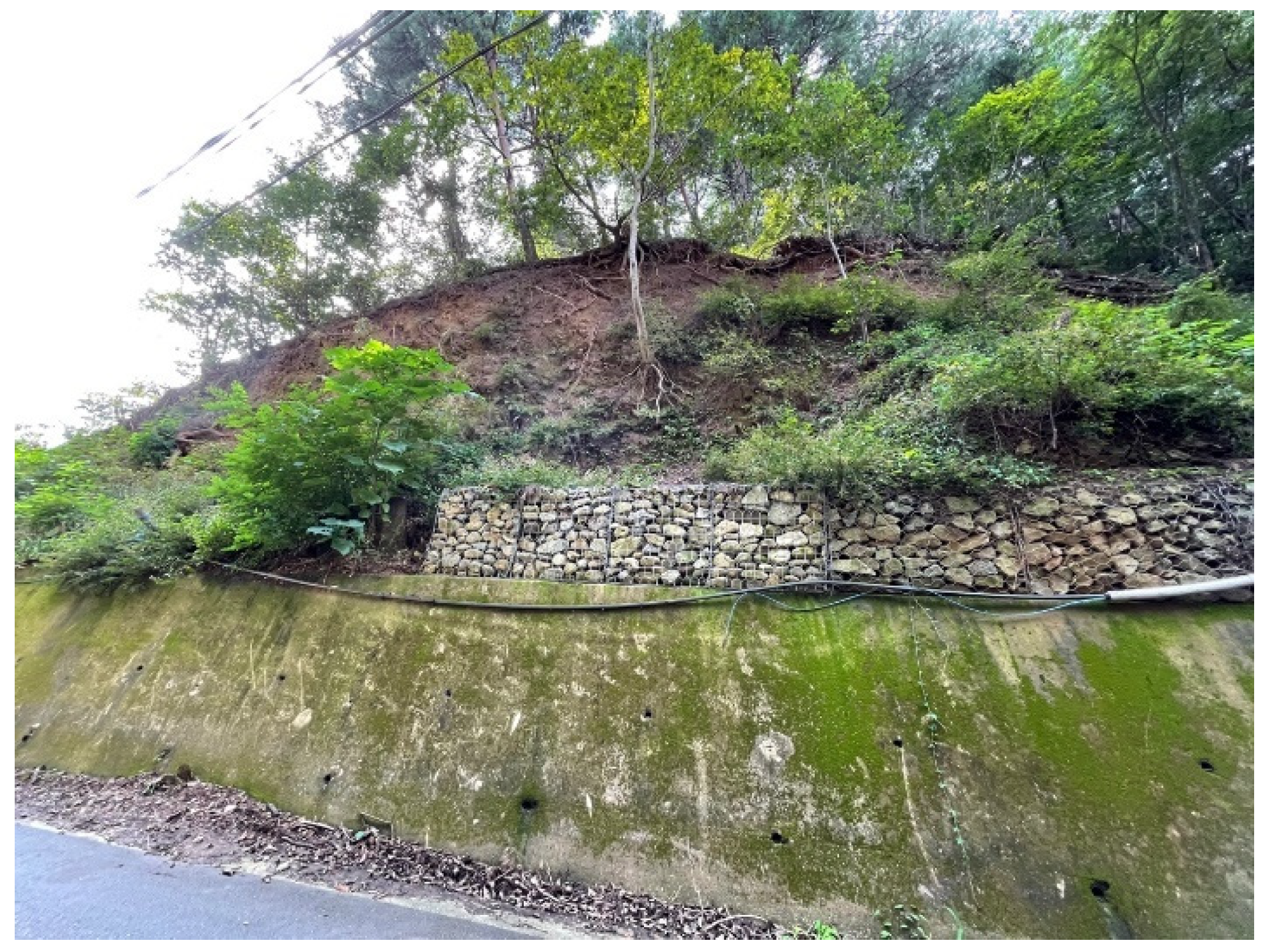 Applsci 12 08102 g010