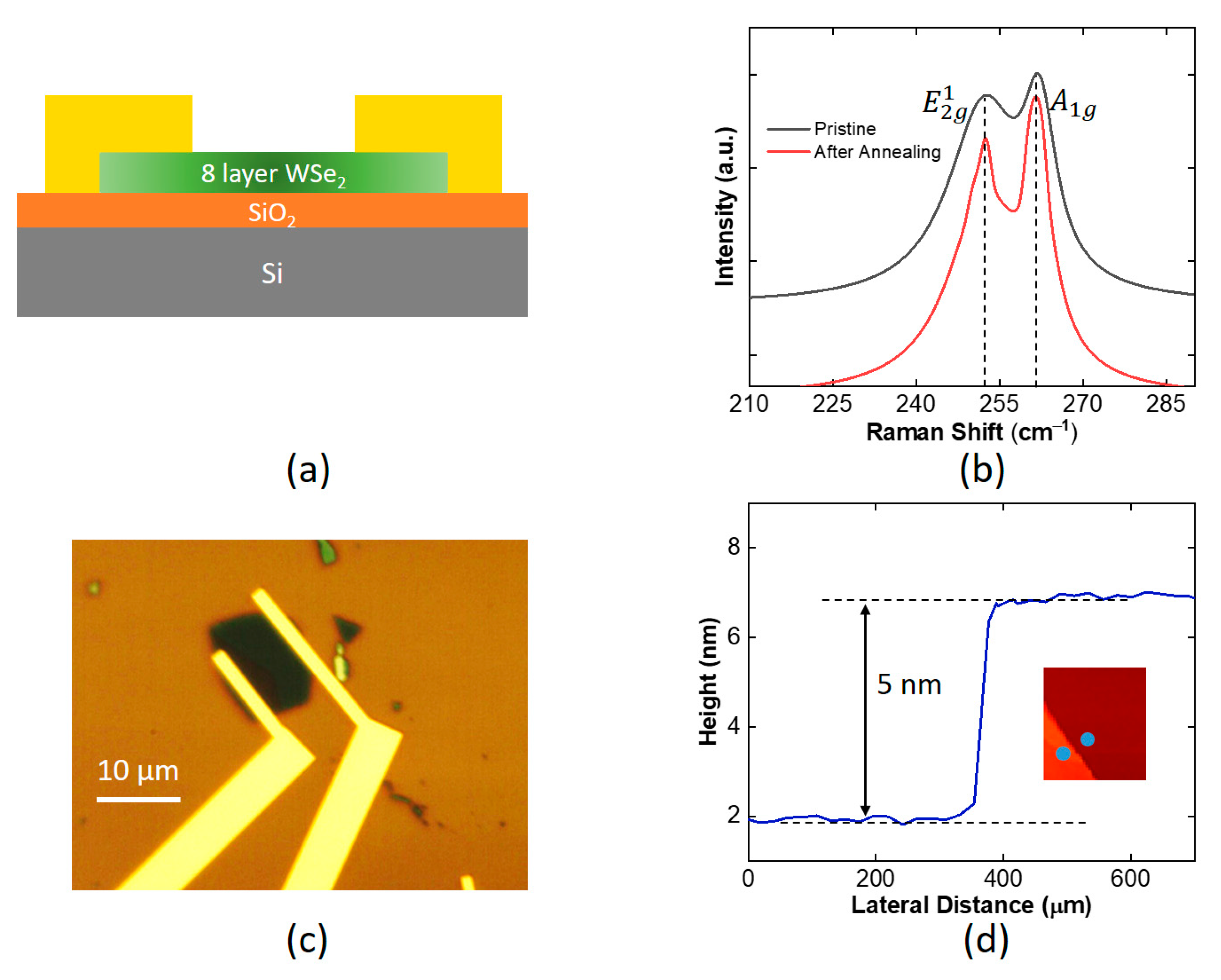 Applsci 12 08119 g001