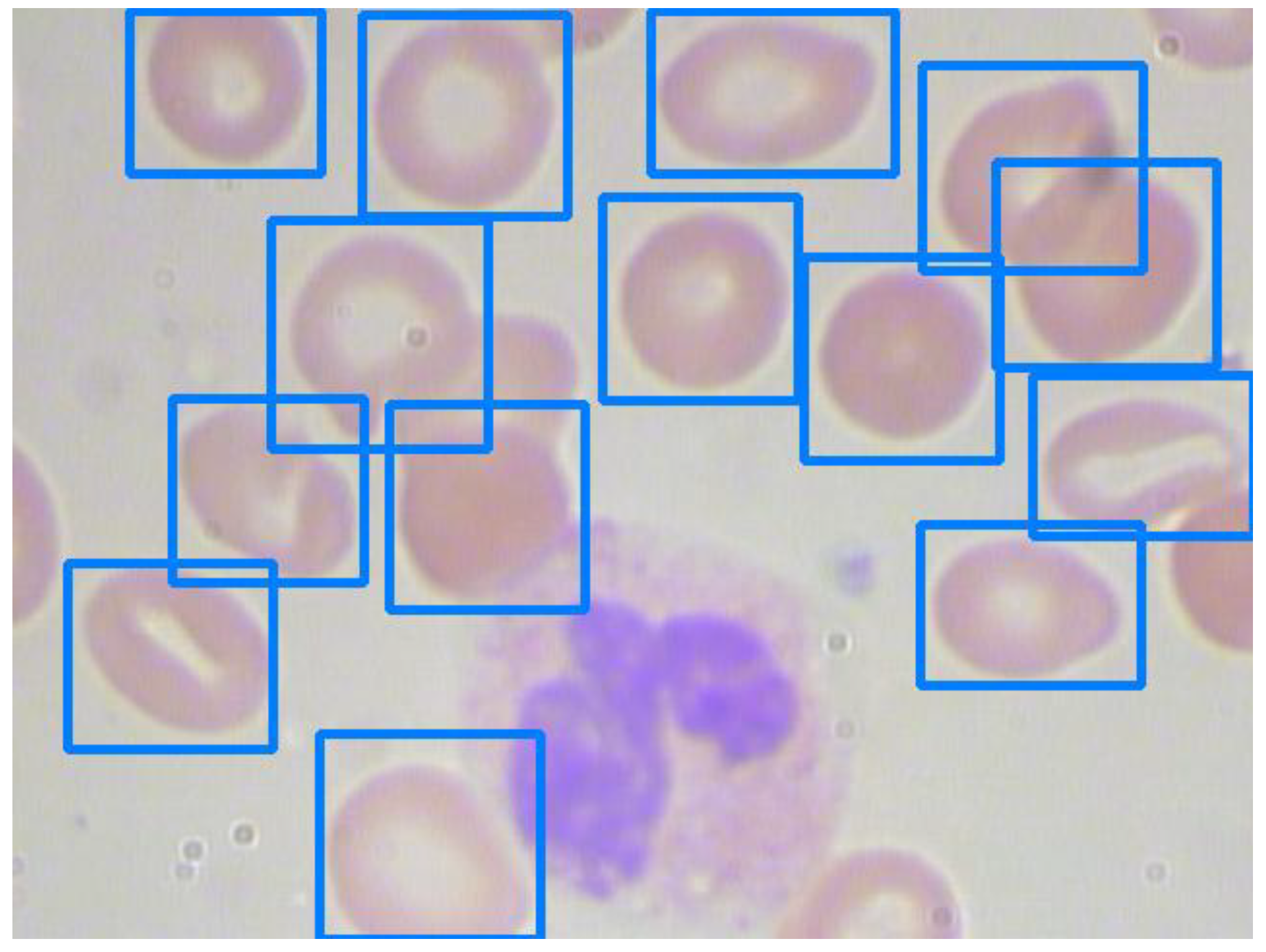 Applsci 12 08140 g007 550